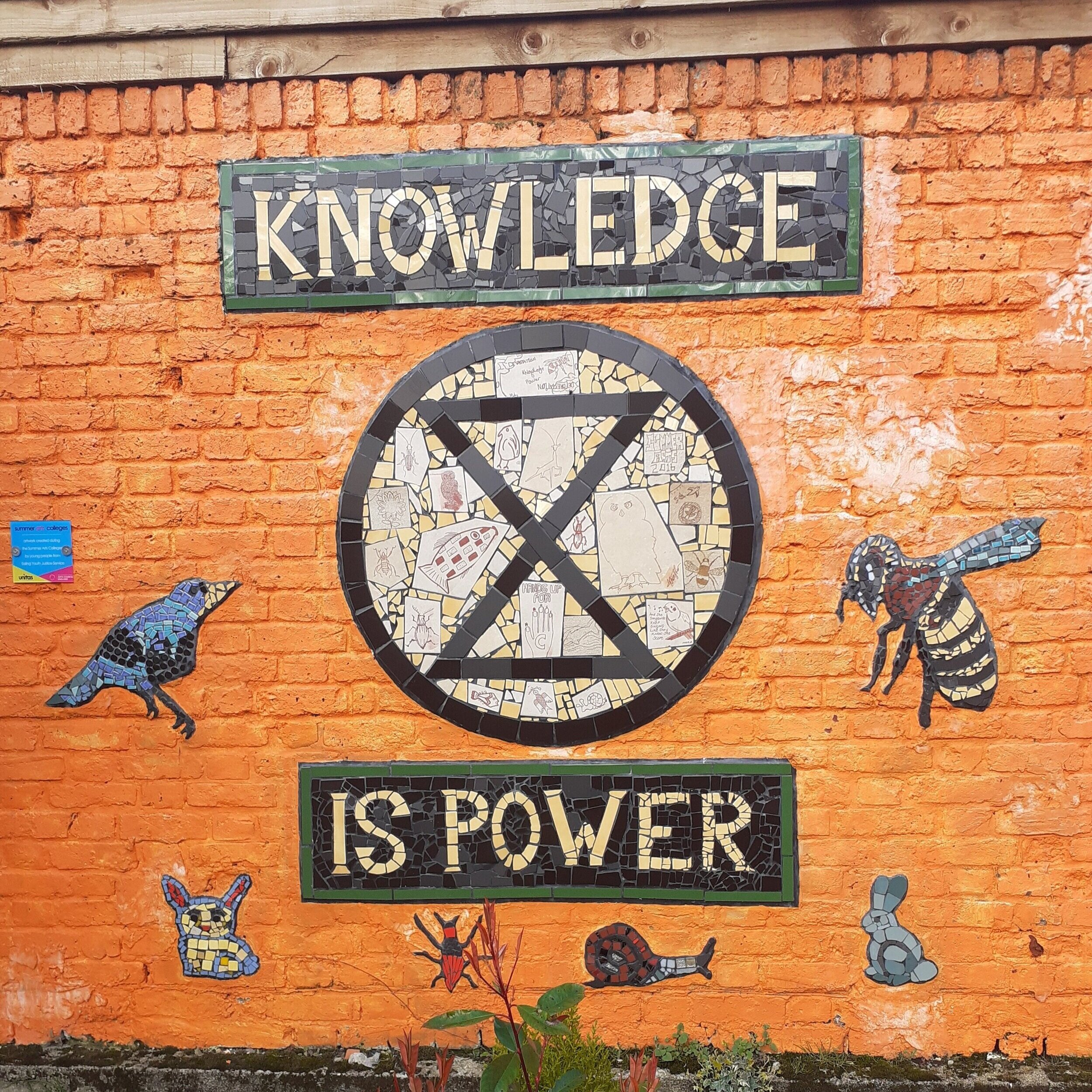 Division of Health Psychology: Knowledge is power - creating information for young people with Inflammatory Bowel Disease