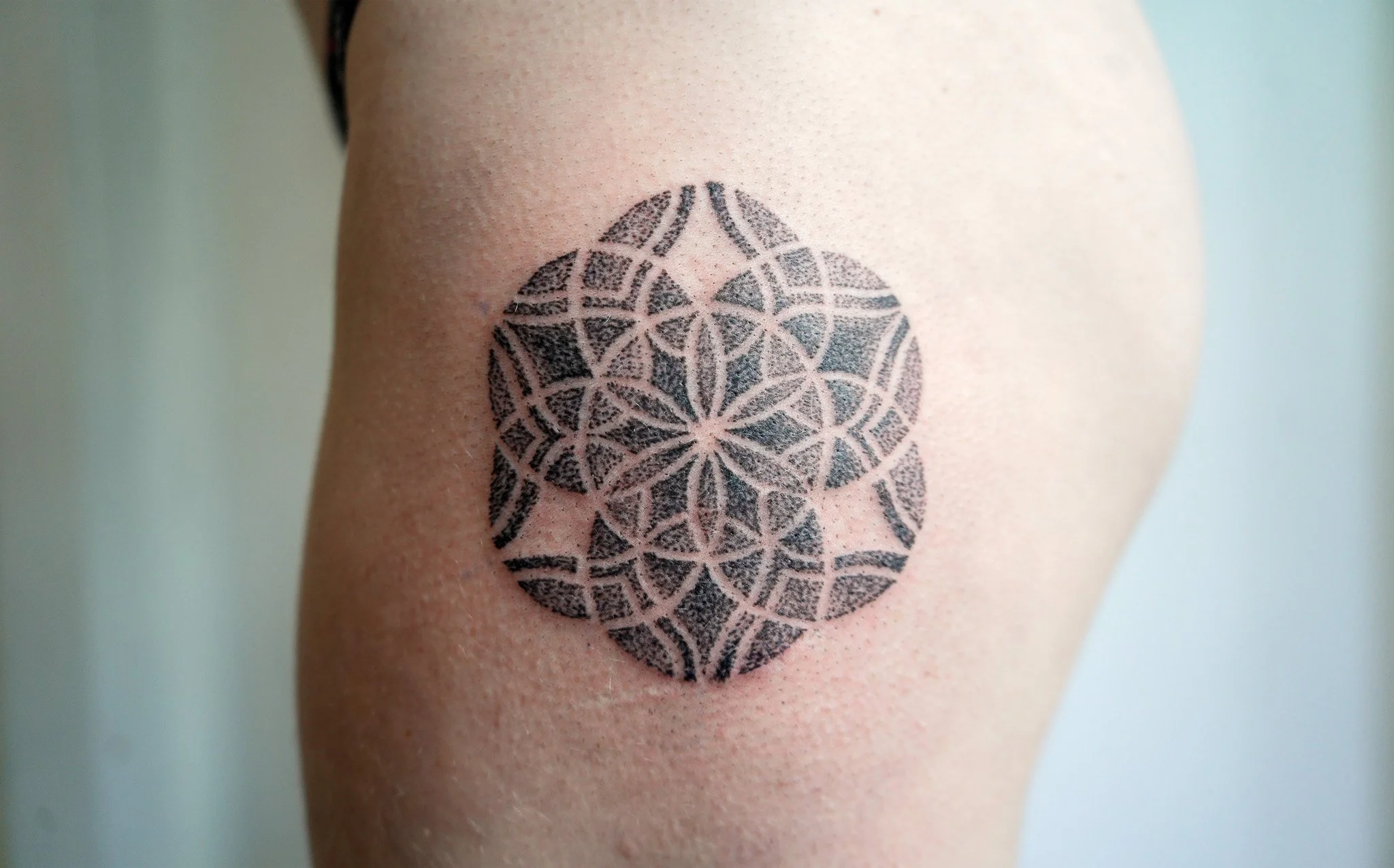 SARRITAH TATTOO _ DOTWORK SEED OF LIFE.jpg