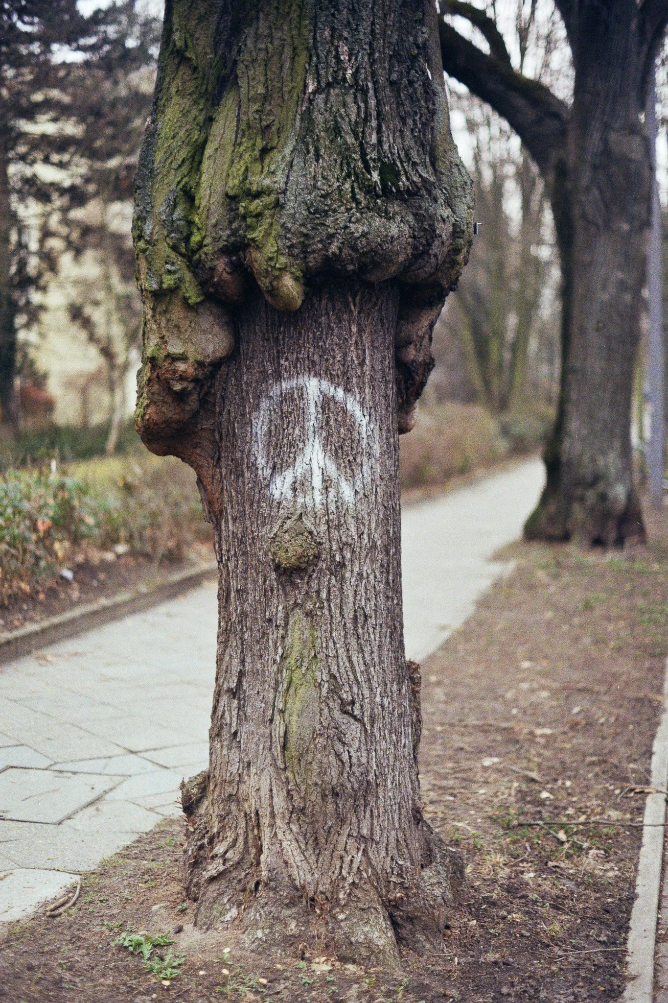 SARRITAH _ ANALOG PHOTOGRAPHY _ PEACE.jpg