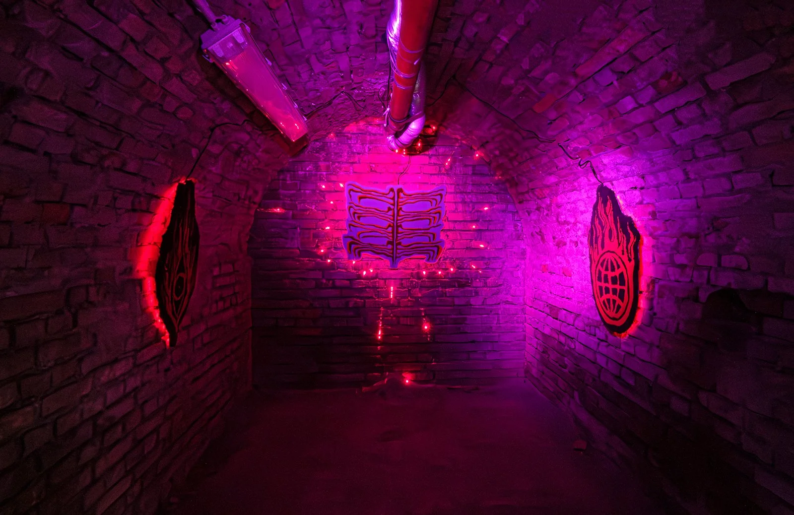 IN THE BELLY OF THE BEAST [2026]