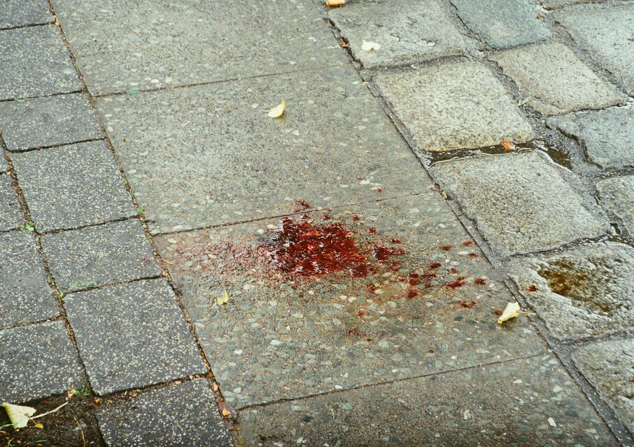 SARRITAH _ ANALOG PHOTOGRAPHY _ BLOOD.jpg