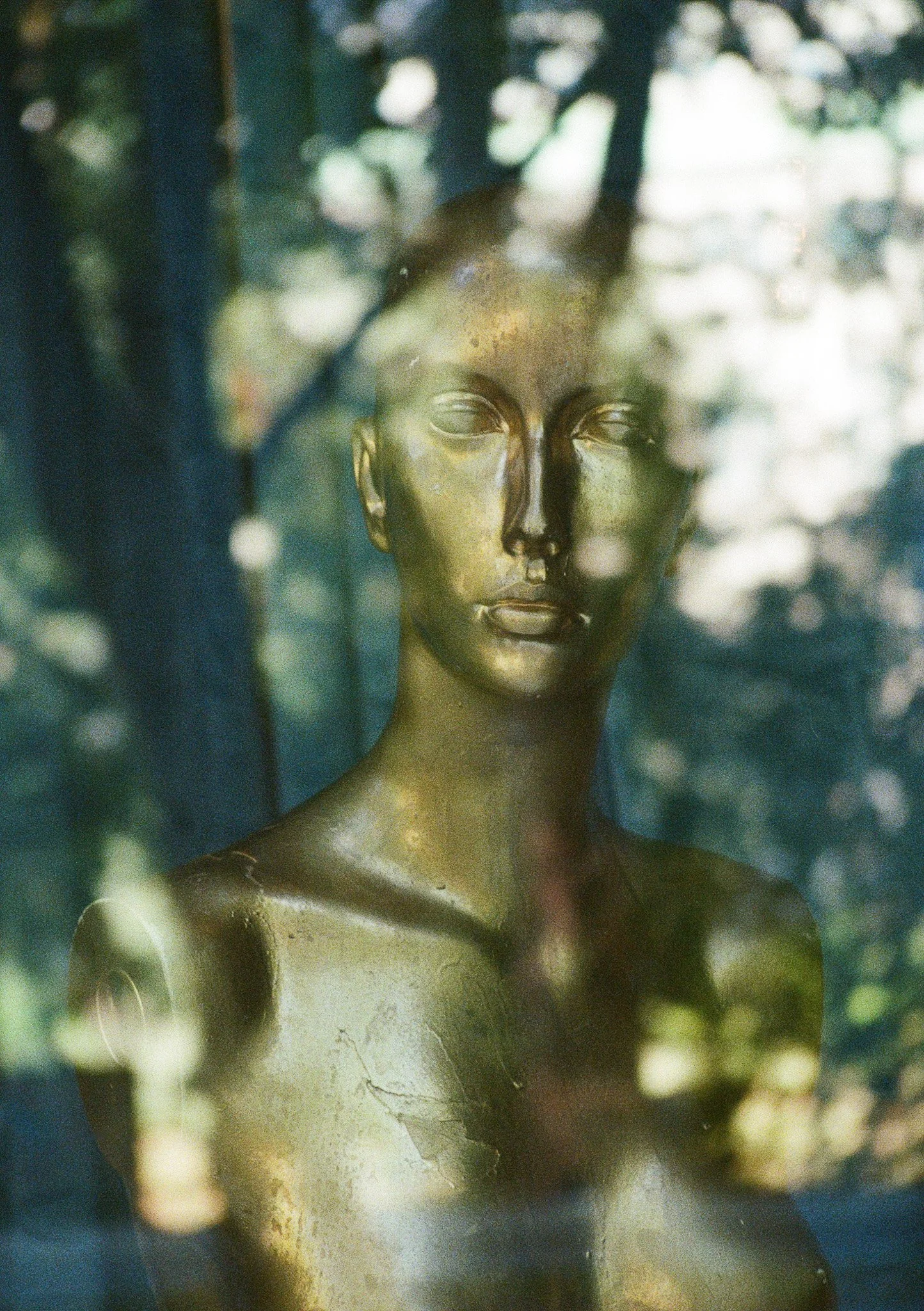 SARRITAH _ ANALOG PHOTOGRAPHY _ GOLD.jpg