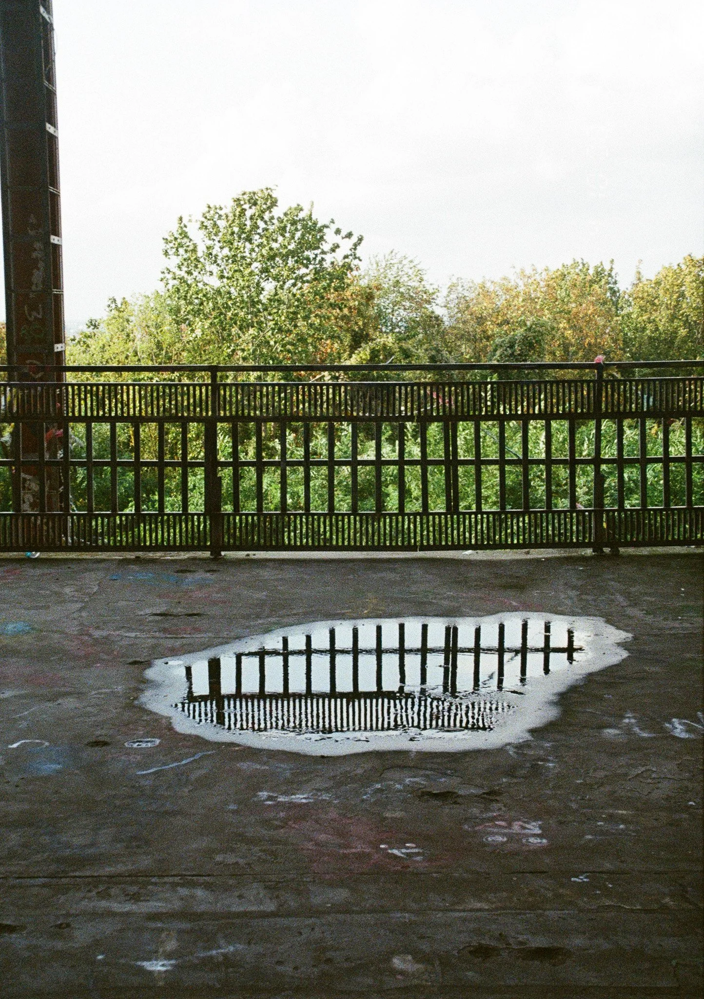 SARRITAH _ ANALOG PHOTOGRAPHY _ REFLECTION.jpg