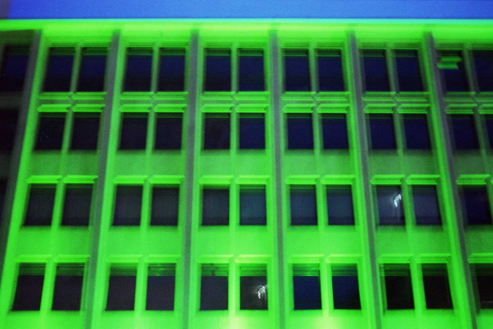 SARRITAH _ ANALOG PHOTOGRAPHY _ GREEN.jpg