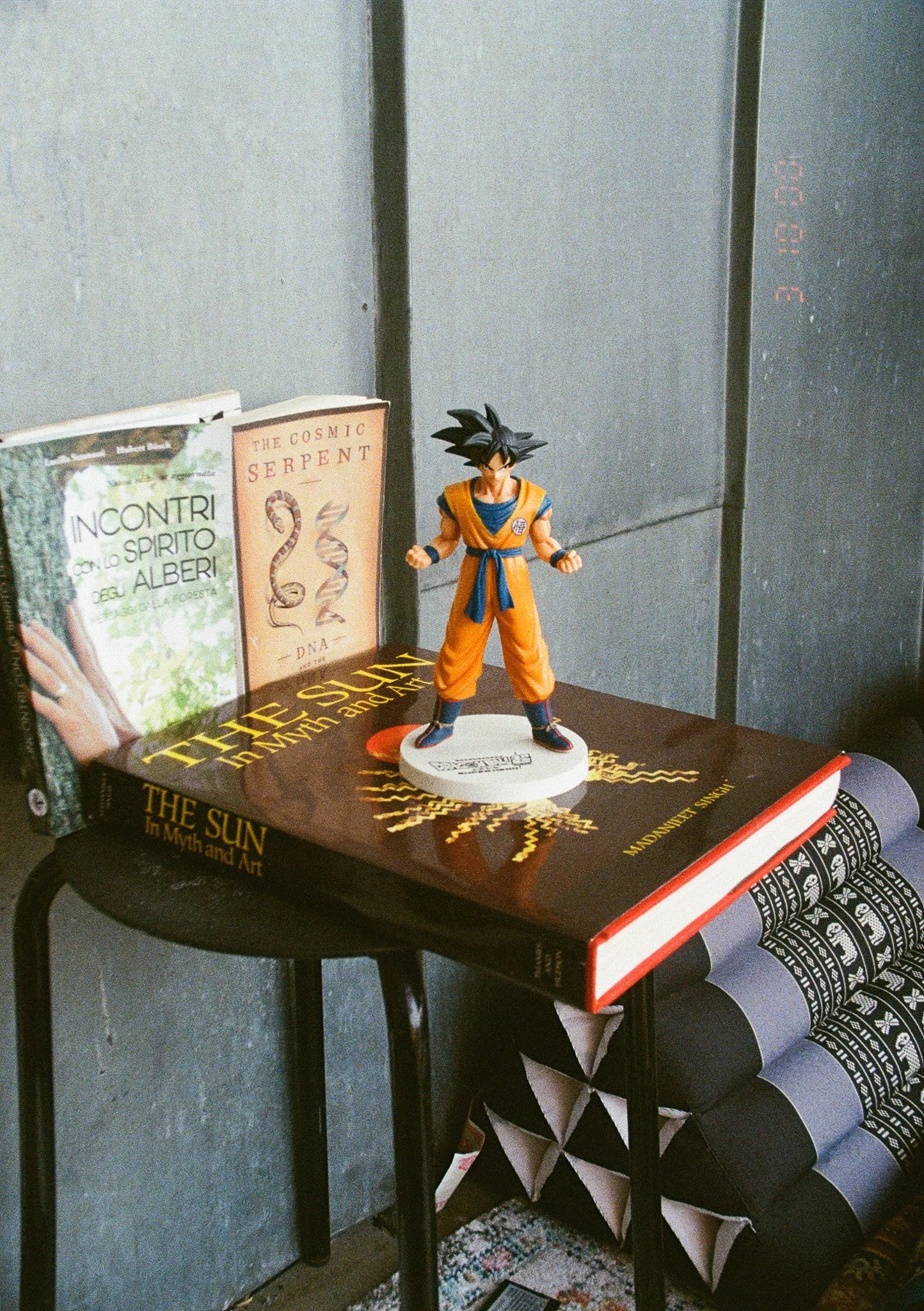 SARRITAH _ ANALOG PHOTOGRAPHY _ SON-GOKU.jpg