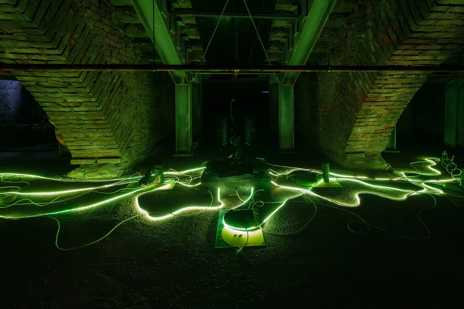 IN THE BELLY OF THE BEAST [2026]