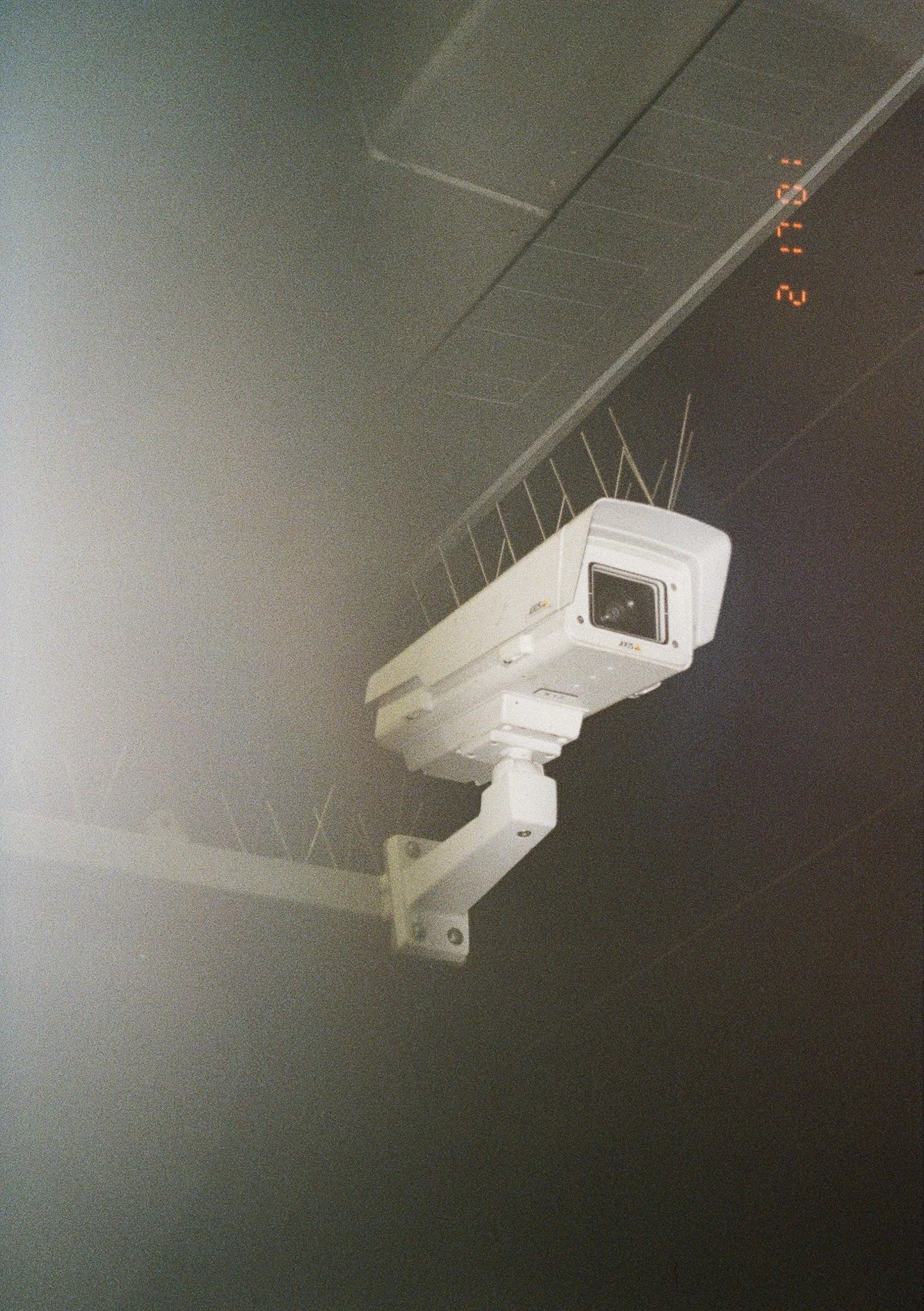 SARRITAH _ ANALOG PHOTOGRAPHY _  BIG BROTHER.jpg