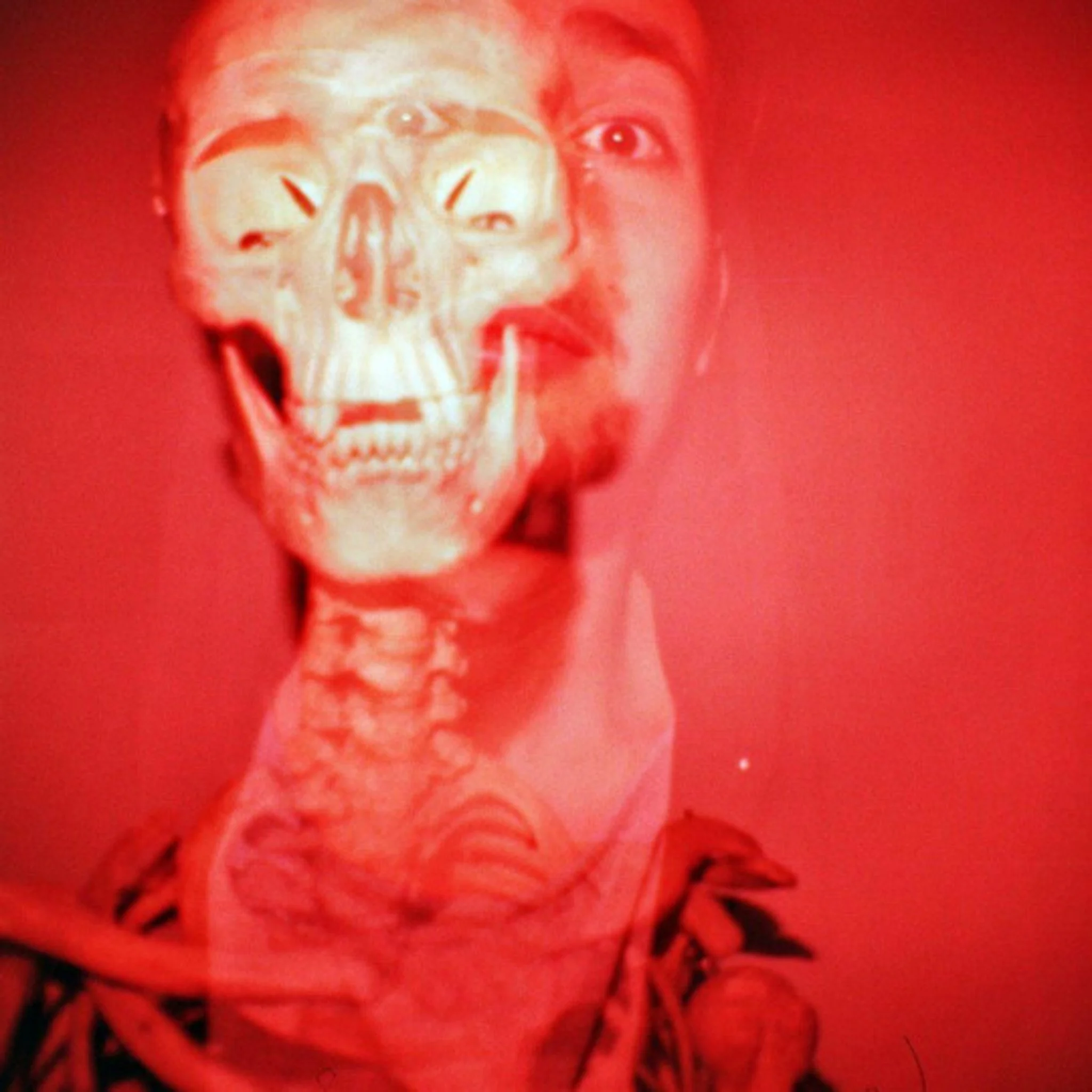 SARRITAH _ ANALOG PHOTOGRAPHY _ AFTERLIFE.jpg