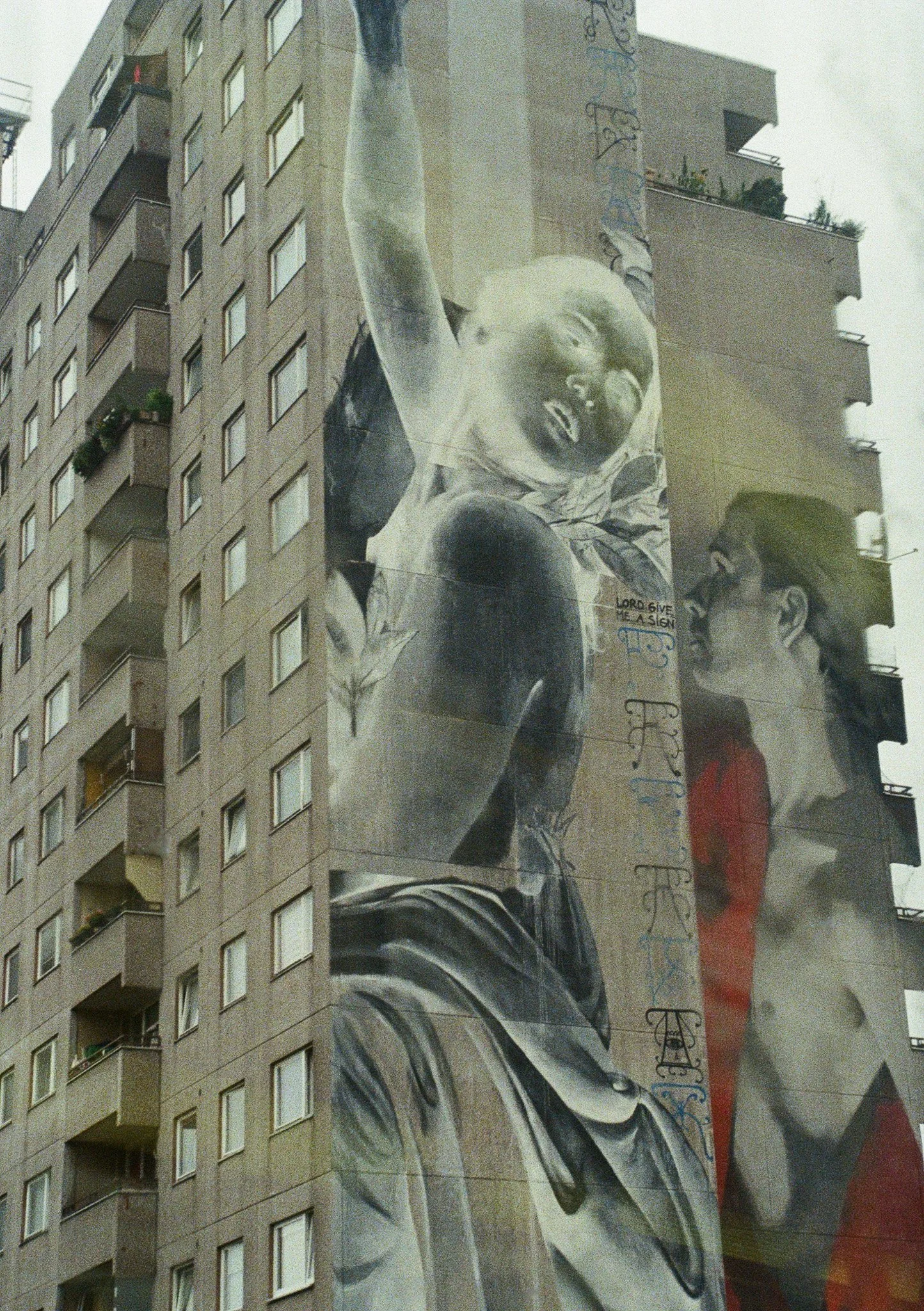 SARRITAH _ ANALOG PHOTOGRAPHY _ MURAL.jpg