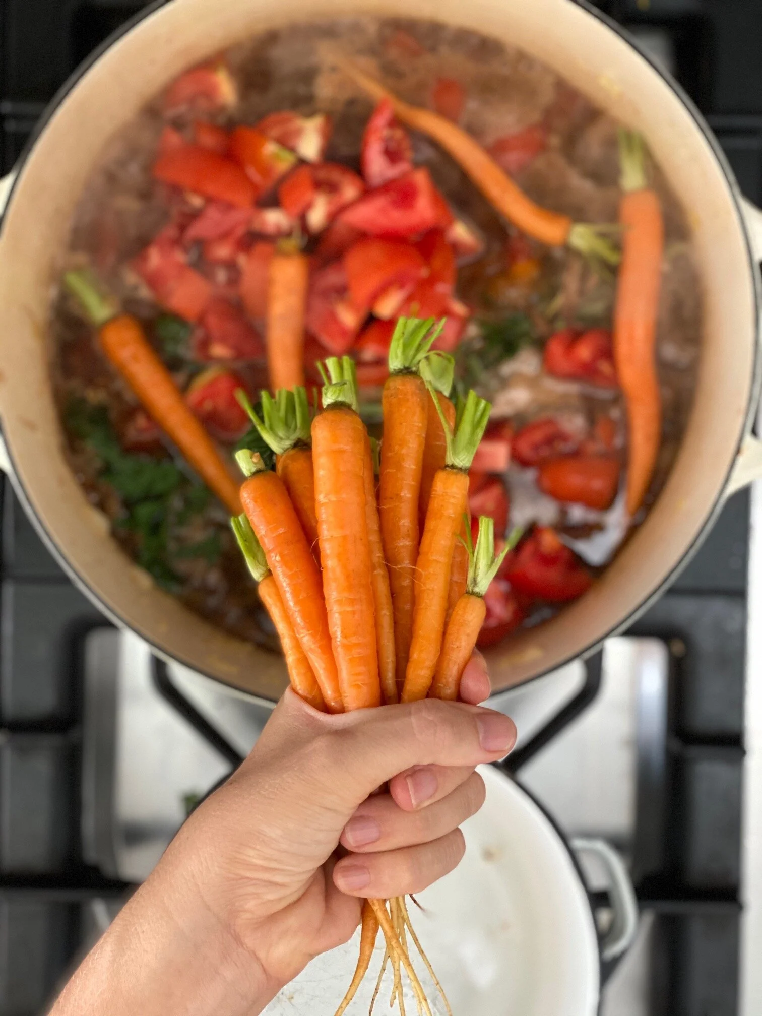 Easiest Ever Lamb and Vegetable Stew