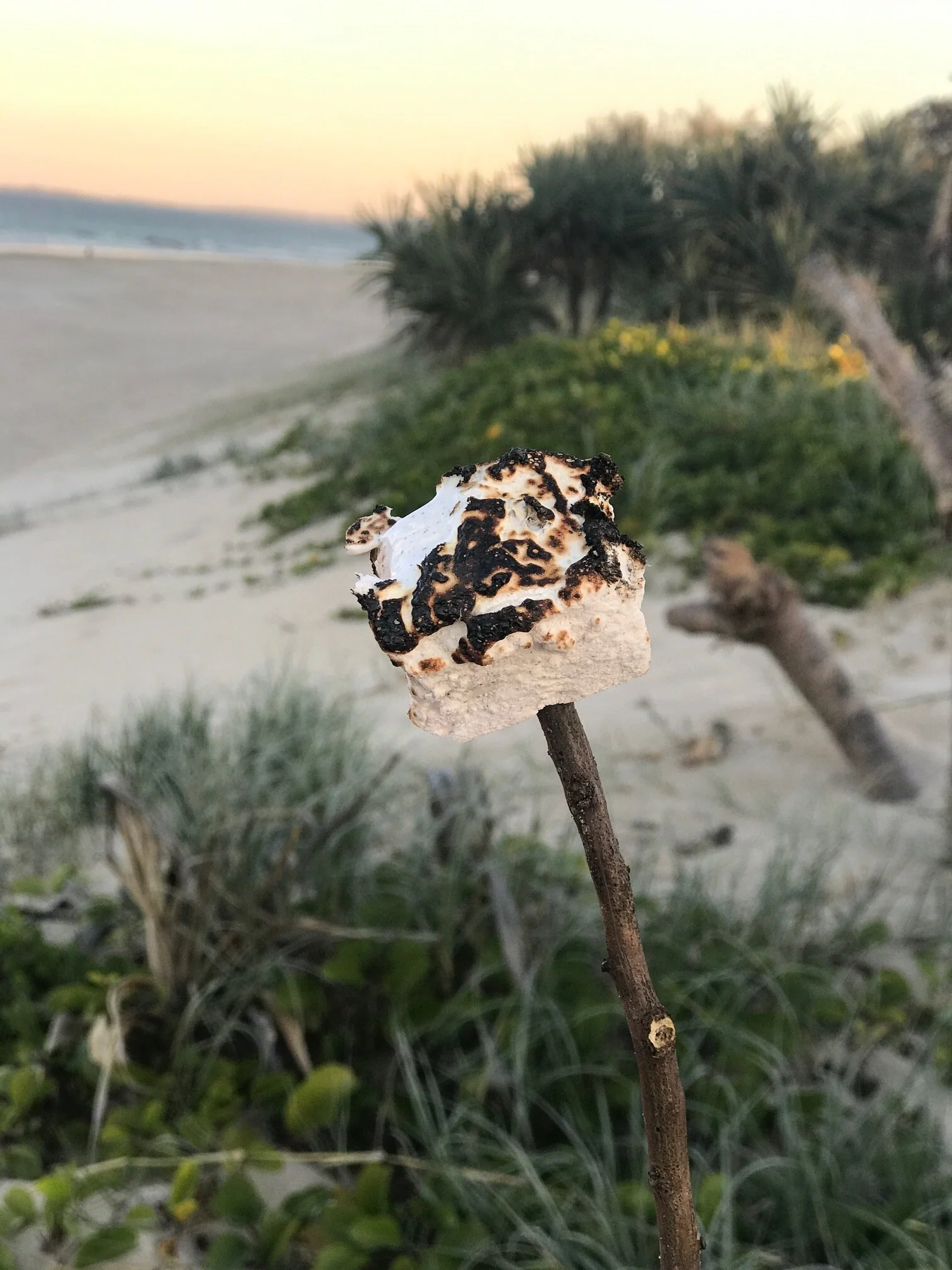 Homemade Campfire Vanilla Marshmallows