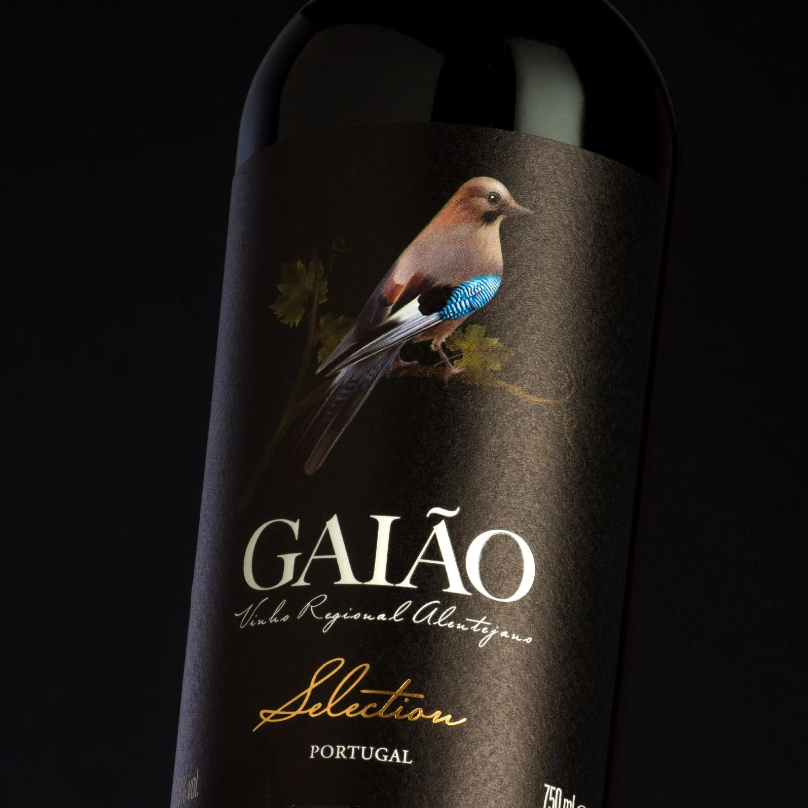 Gaião_Tinto_Selection.jpg