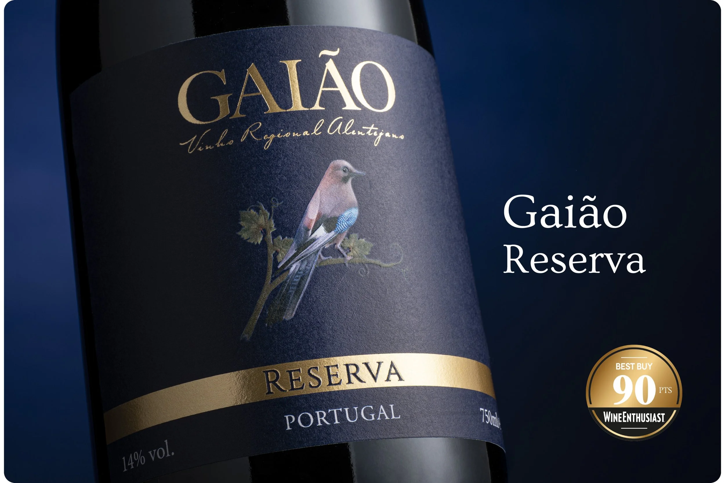 vinhos em destaque-01.jpg