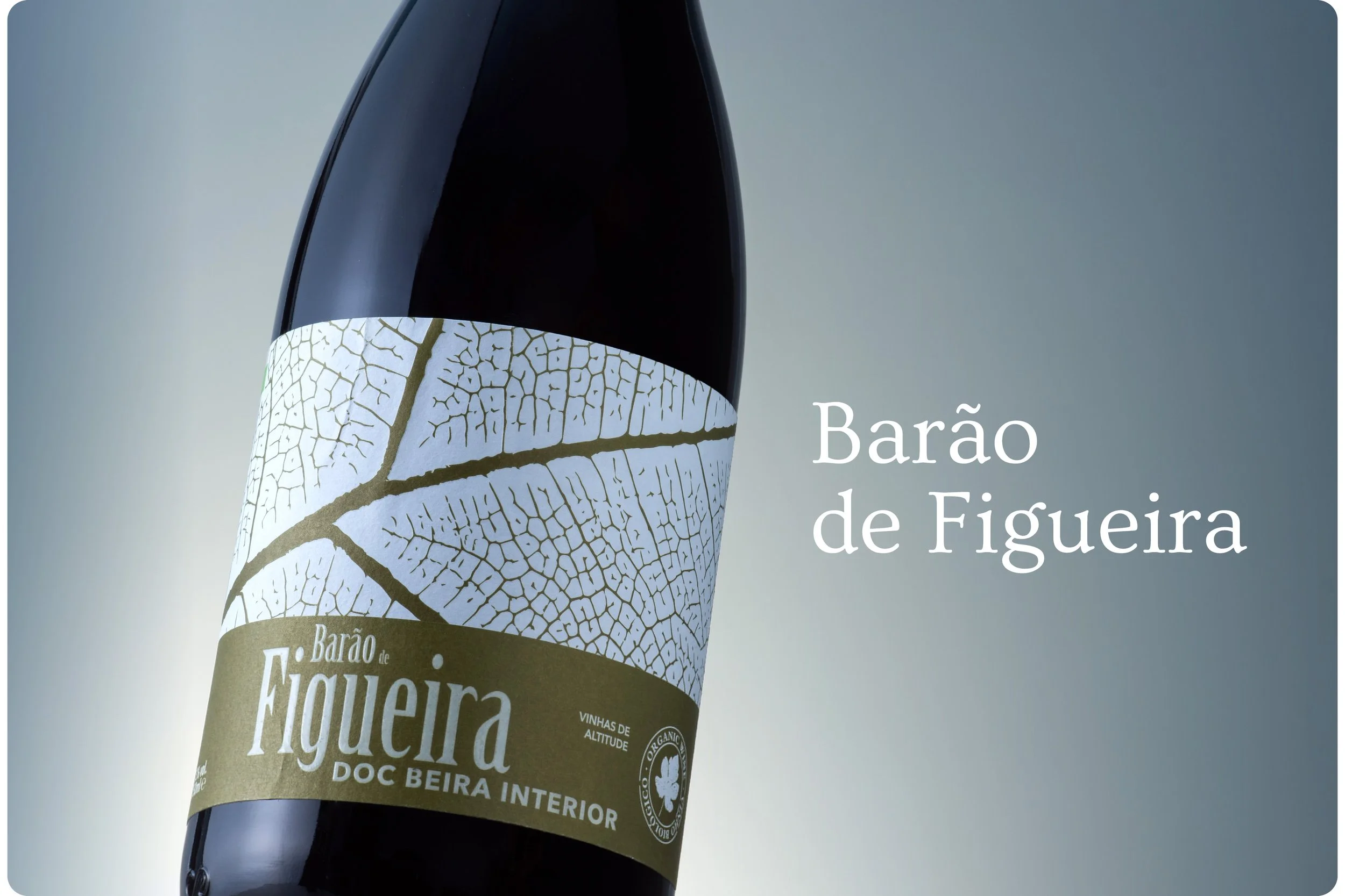 vinhos em destaque-02.jpg