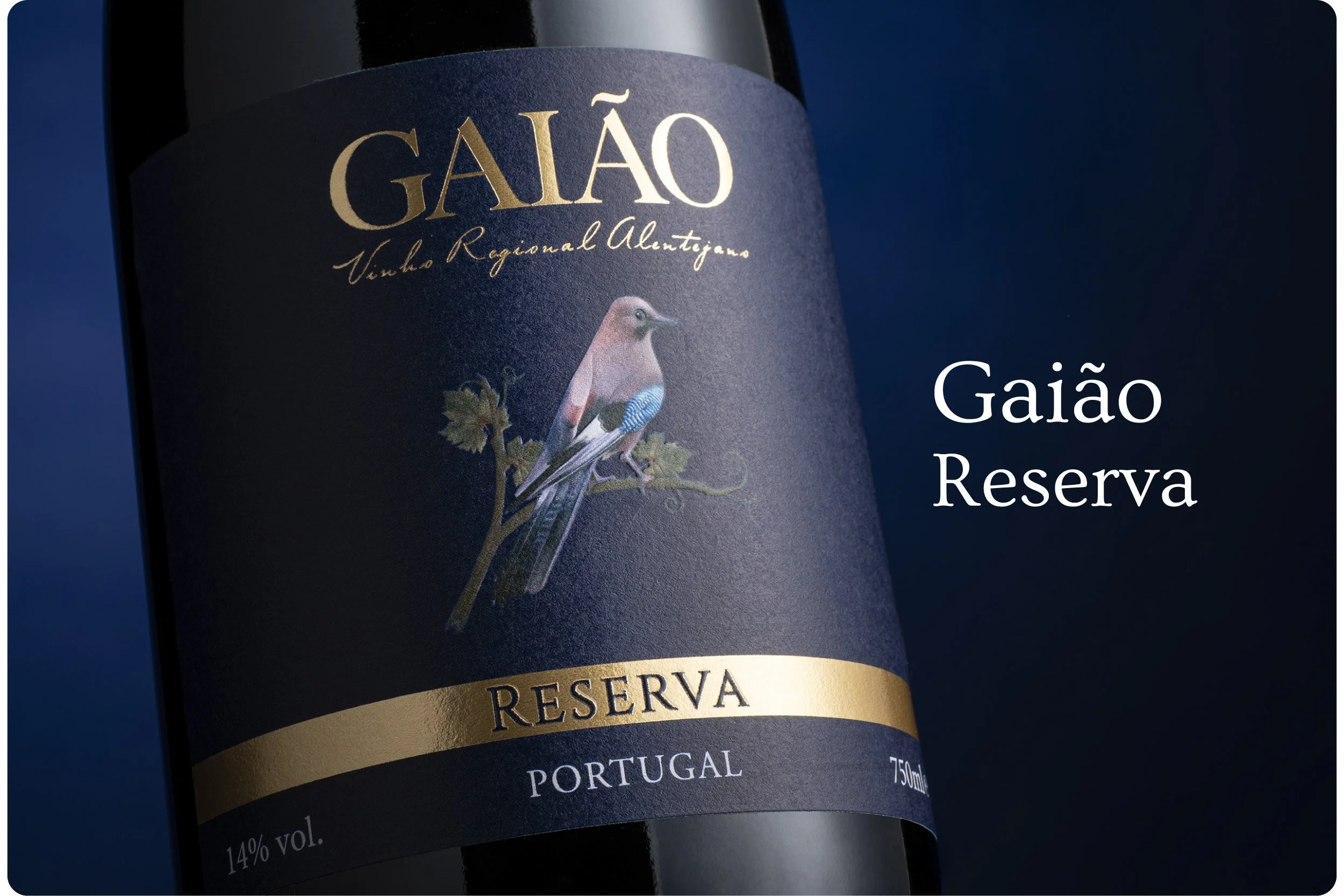 vinhos em destaque-01.jpg