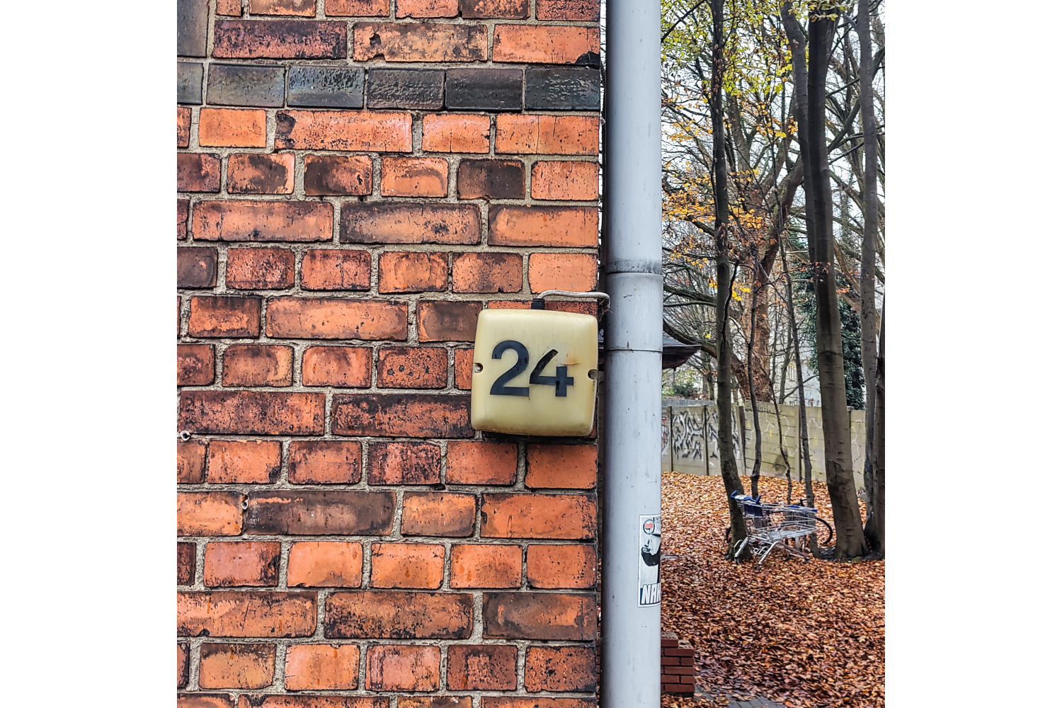 TRÖJAN / DANUBE´S BANKS - 24.12.2025