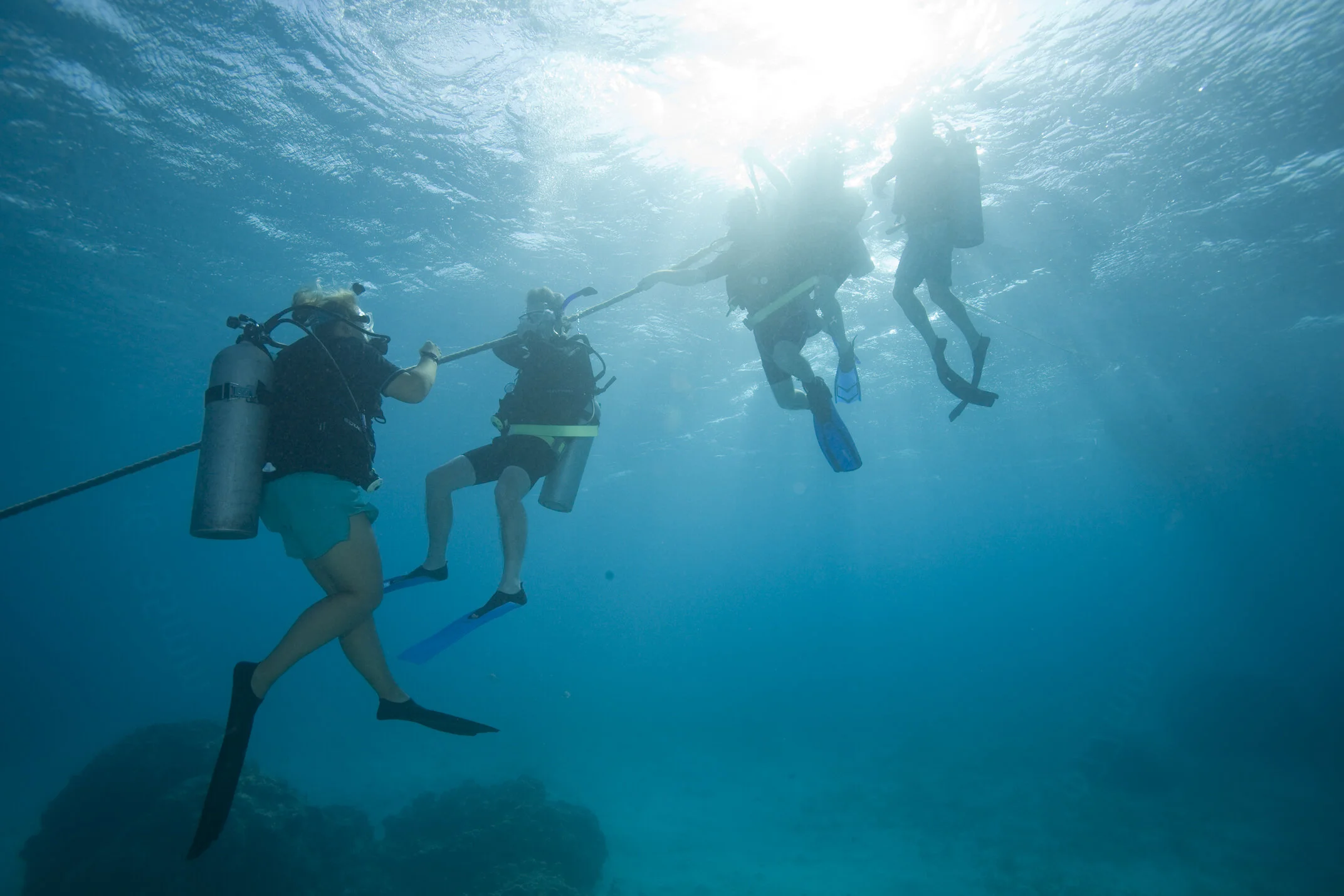 PADI Instructor Development Course