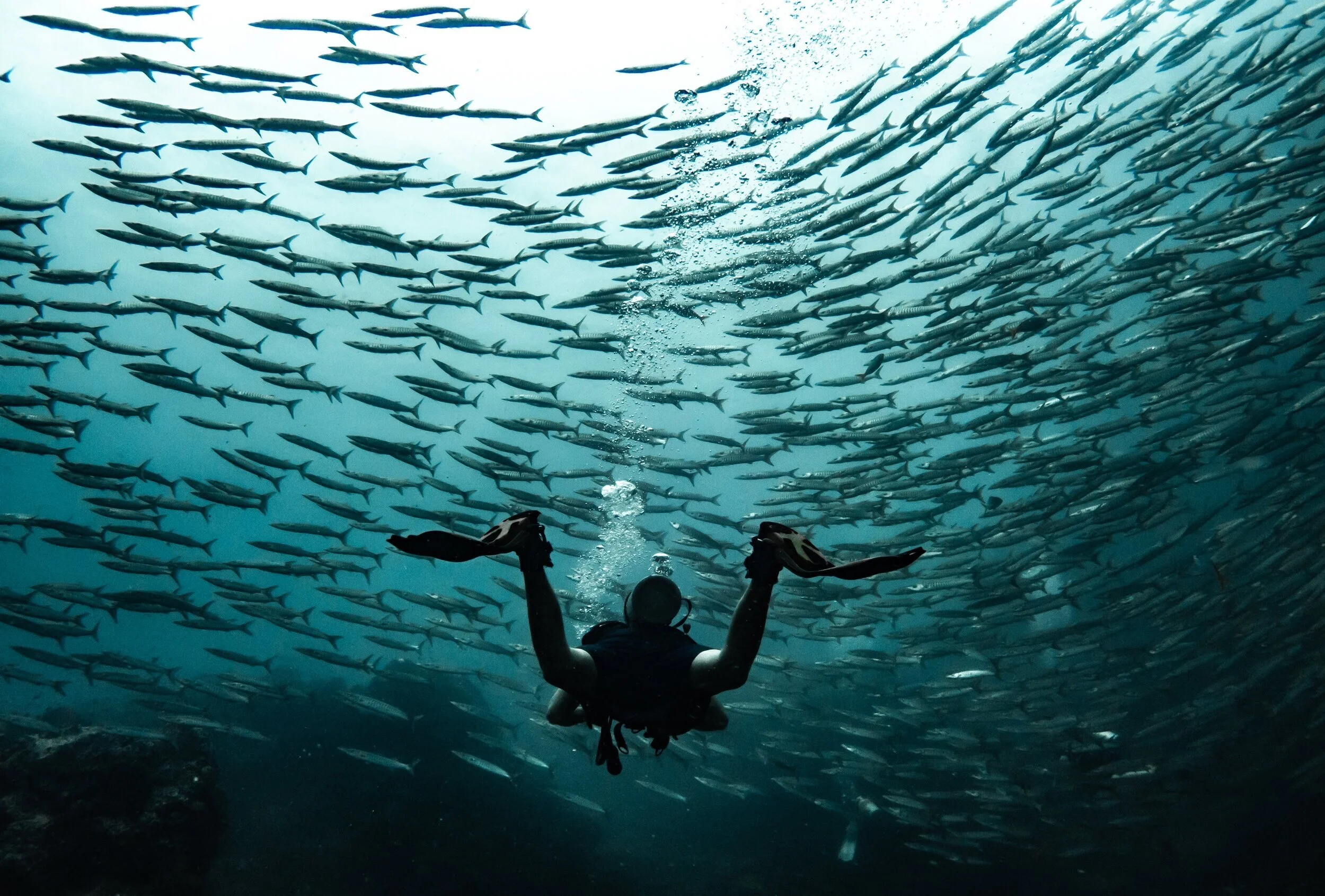 PADI Advanced Open Water