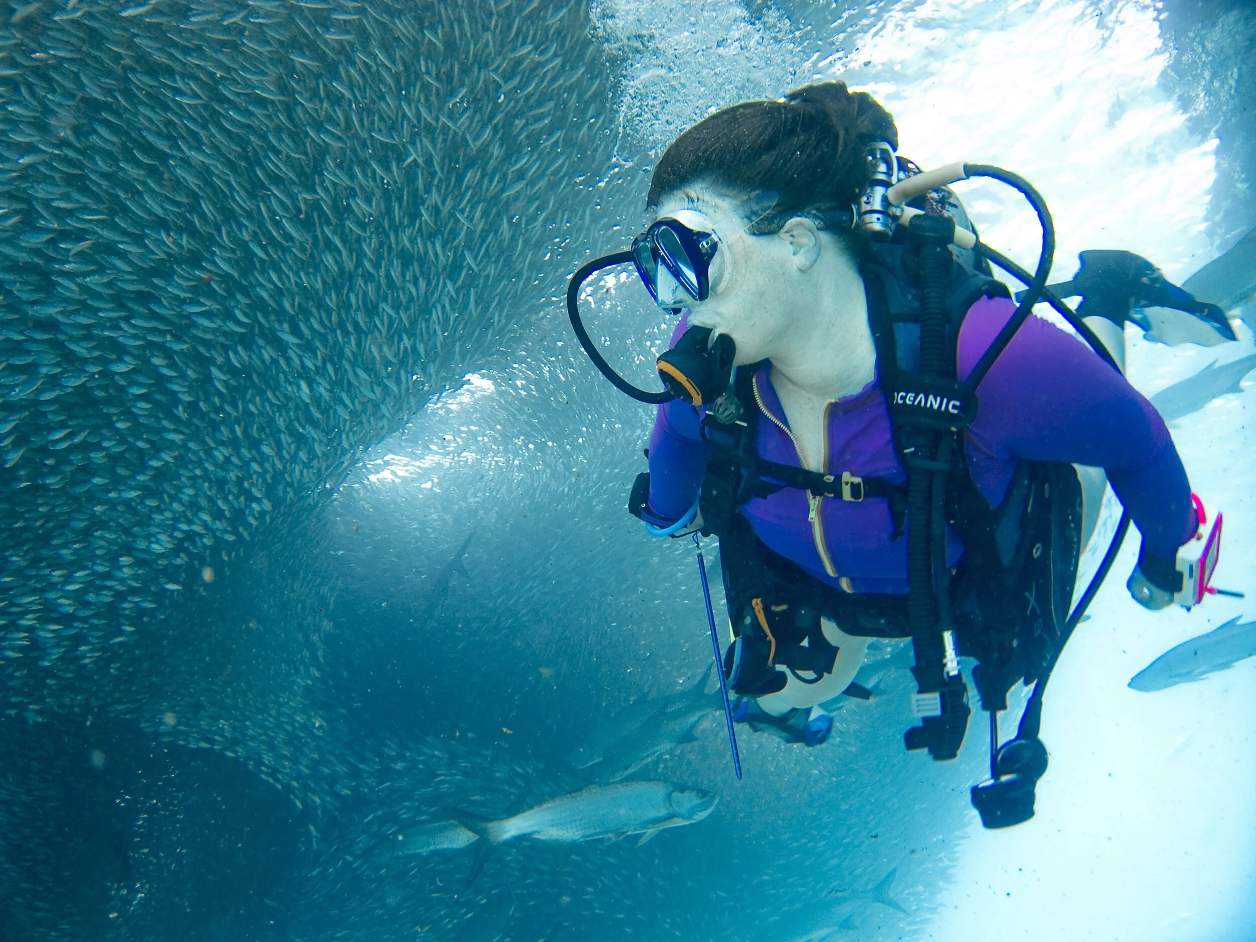 PADI DiveMaster Course