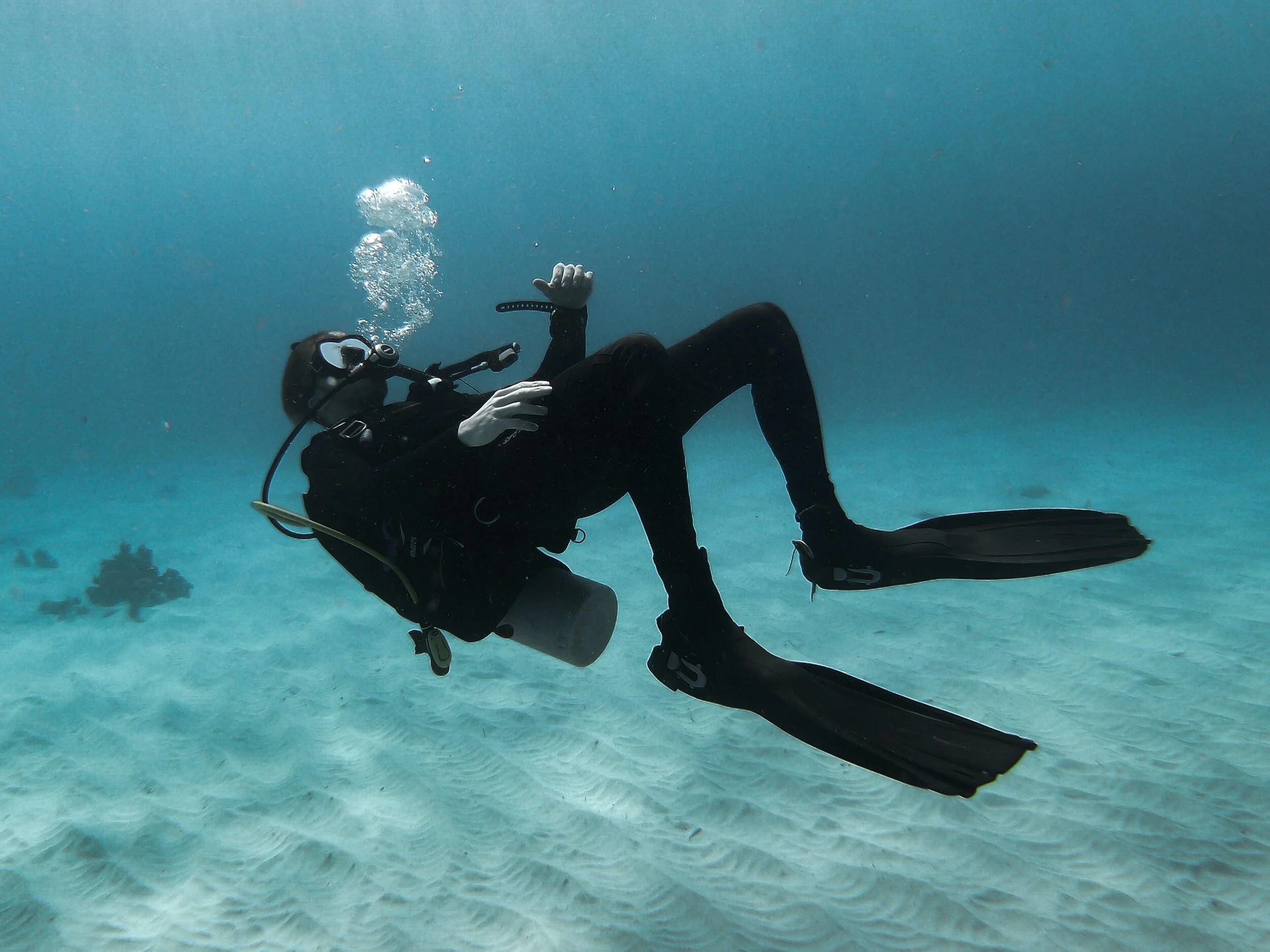 Scuba Diving Fin Buying Guide 