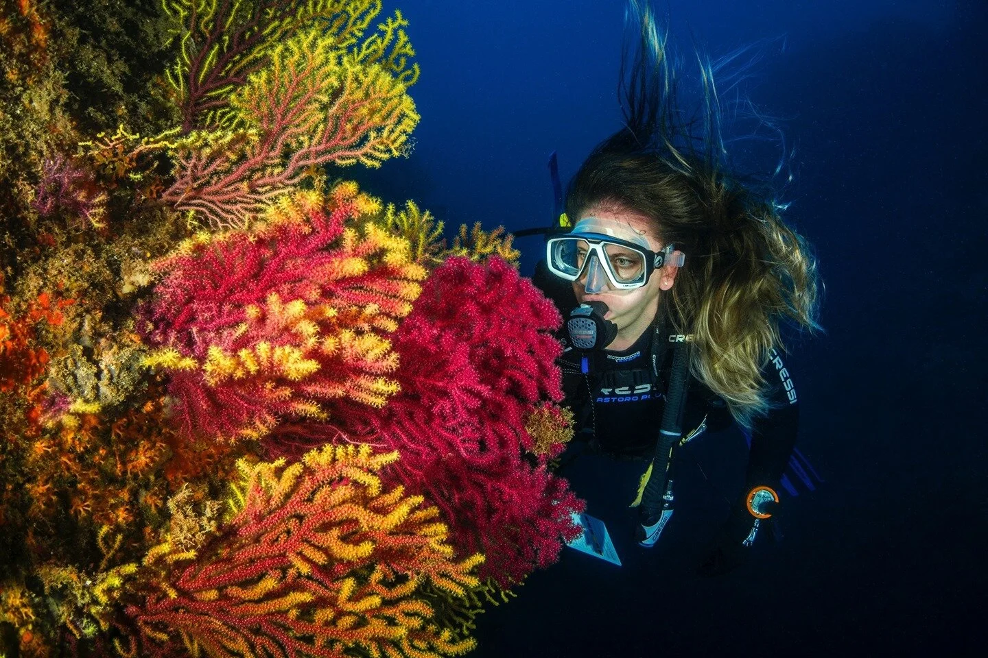 Become a leader! Become a Dive Instructor! Join the @paditv Family and get the joy of working under the ocean! Find out what you need to do to Become A Dive Instructor at www.becomeadiveinstructor.com ⠀
⠀
#DIVE #Scuba #Scubadive #diveinstructor #divi