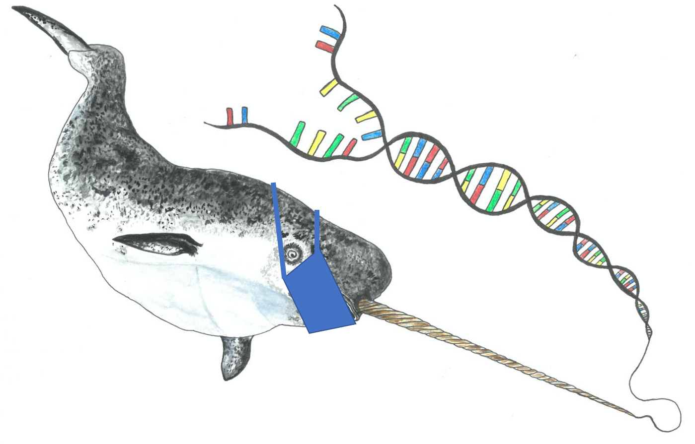 Narwhal Cheese at Biosummit 4.0