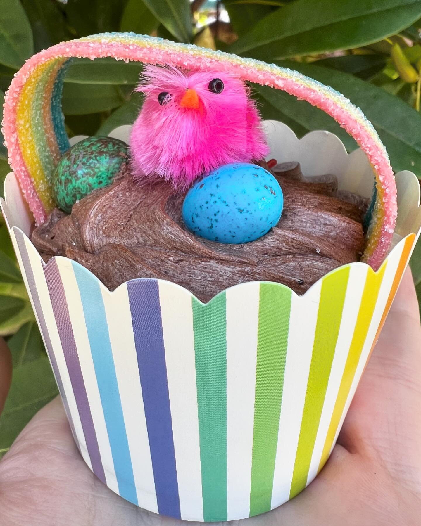 🐣 Happy Easter! Hope you&rsquo;re having a great long weekend. 🧁 Thanks @the_botanical_house_ballarat for the cute cupcake - it&rsquo;s delicious! 🤤