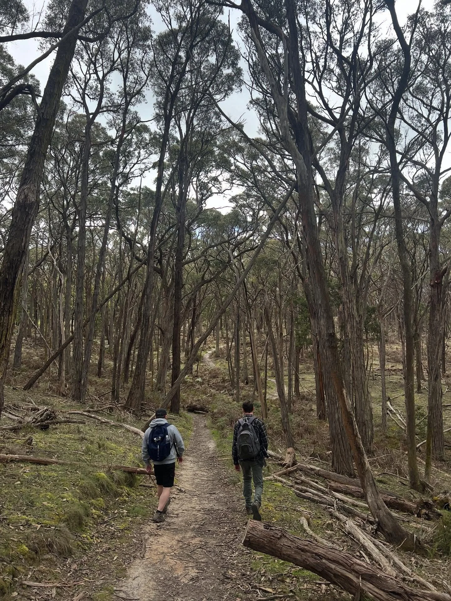 ☀️ What a beautiful and busy day! ☀️

🥾 Started with an early bushwalk in Buninyong with friends, followed by lunch at the Buninyong Hotel 🍽️🍻

🎭 Then it was off to PopCon! I arrived just in time for the cosplay competition. The costumes were inc