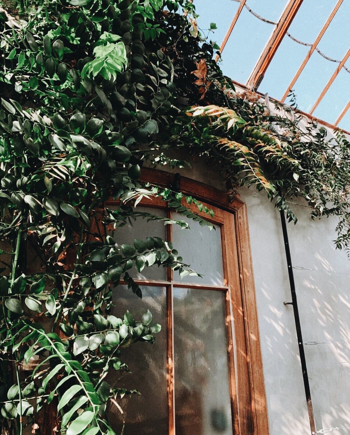 Building the non profit home.