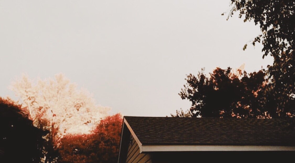 Non Profit certification