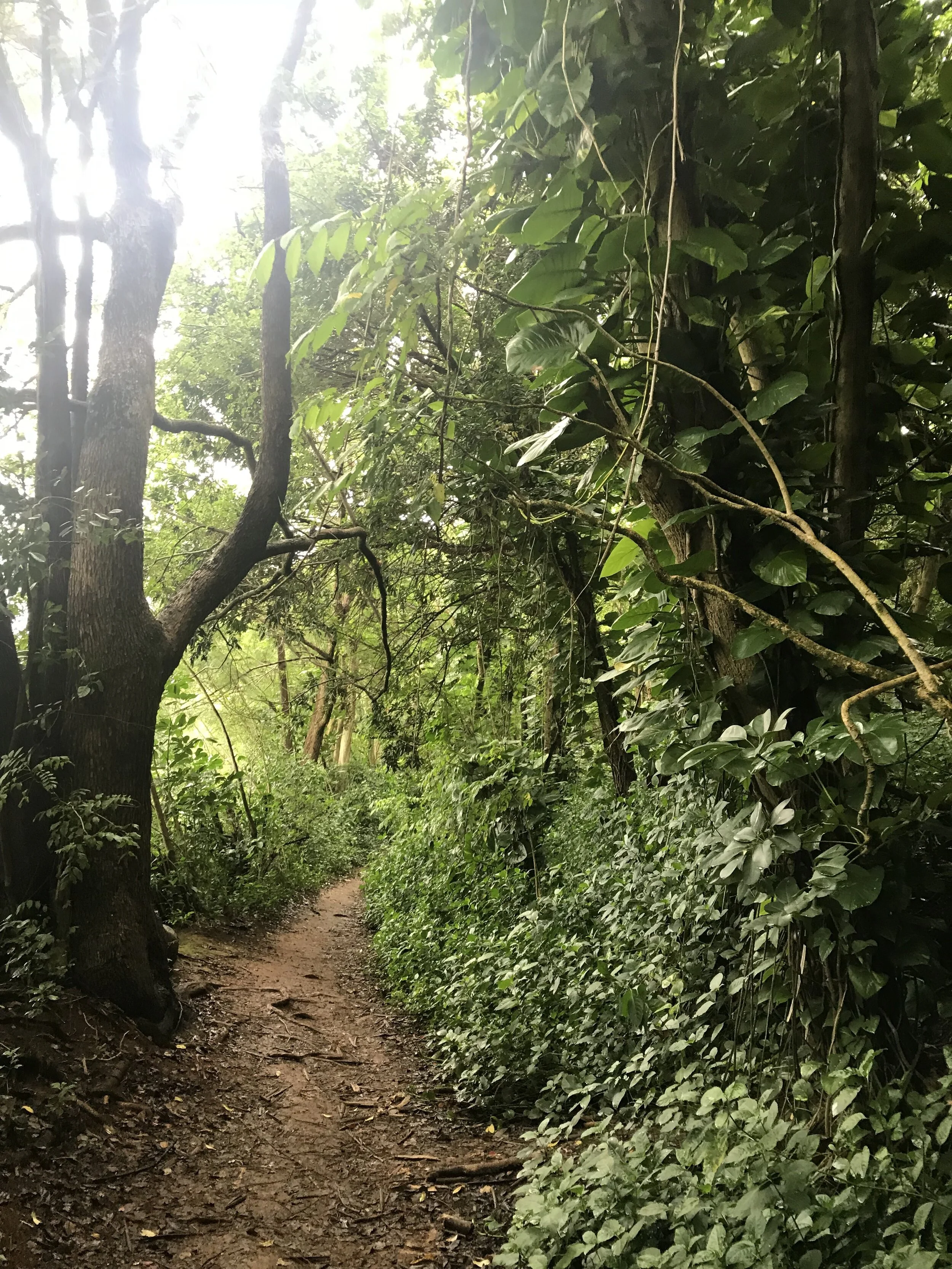 5 Simple Mindfulness Strategies to Help You Manage Anxiety