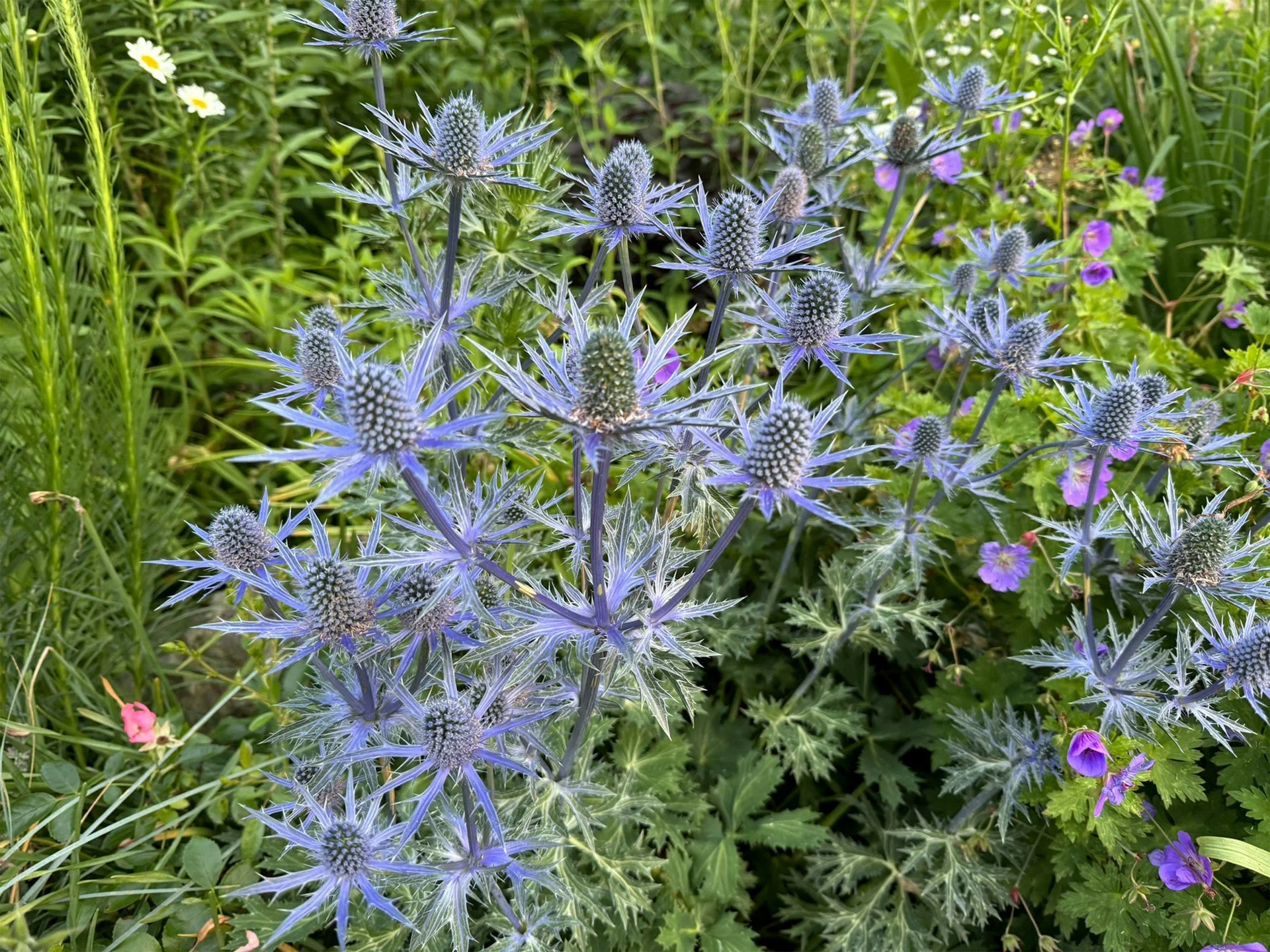 productivity-garden-UQqRNZqQxA4-unsplash.jpg