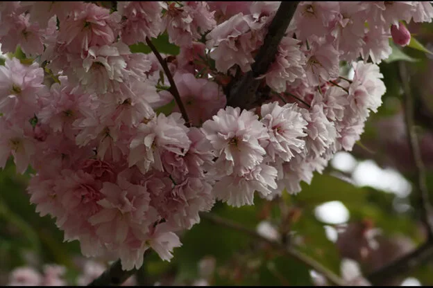 Transition Year Photography Workshop