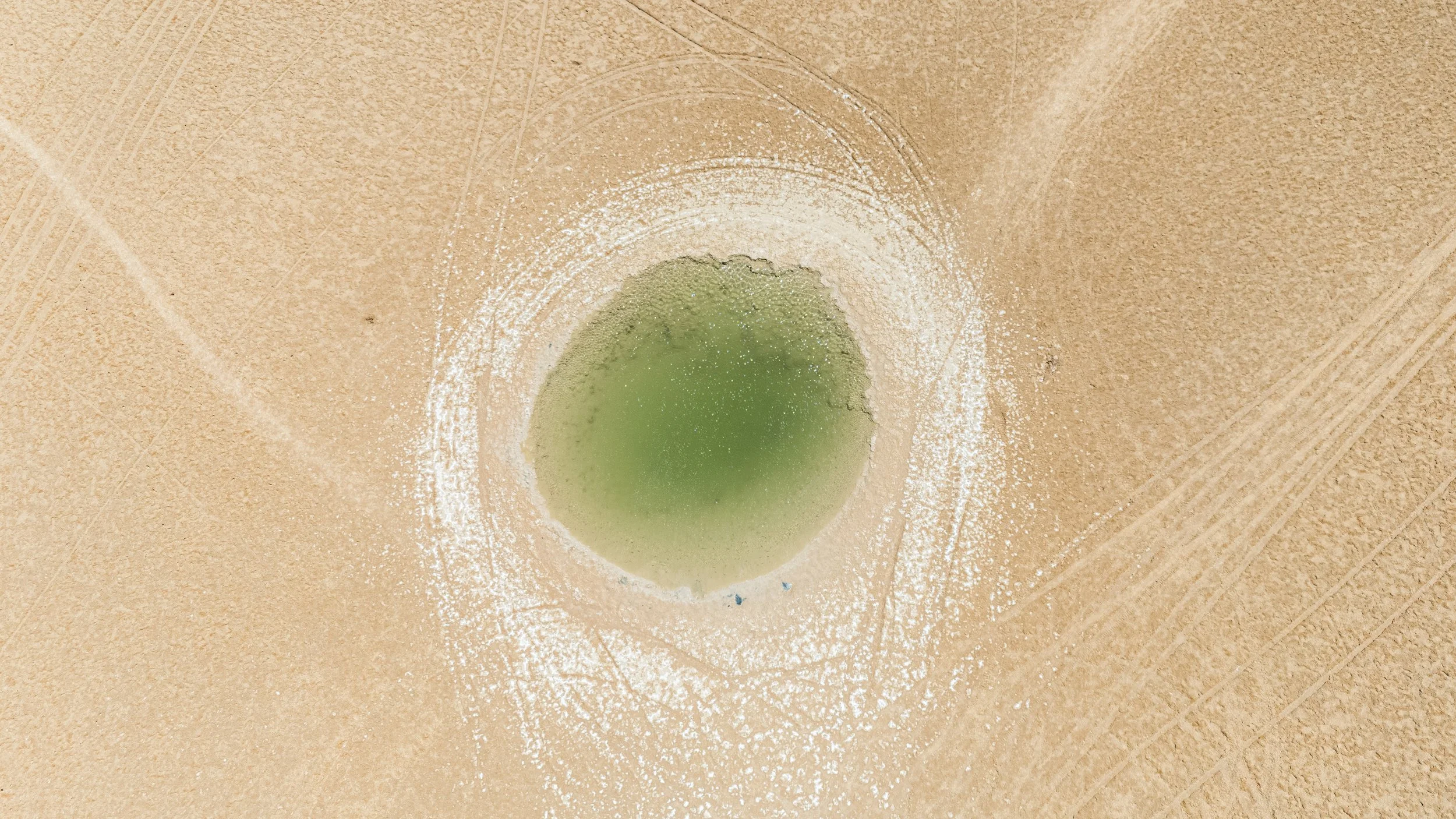 DJI_20260503151754_0208_D 3.jpg