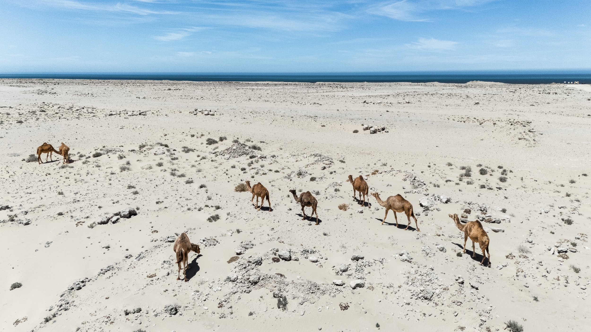 DJI_20260503130653_0173_D 3.jpg