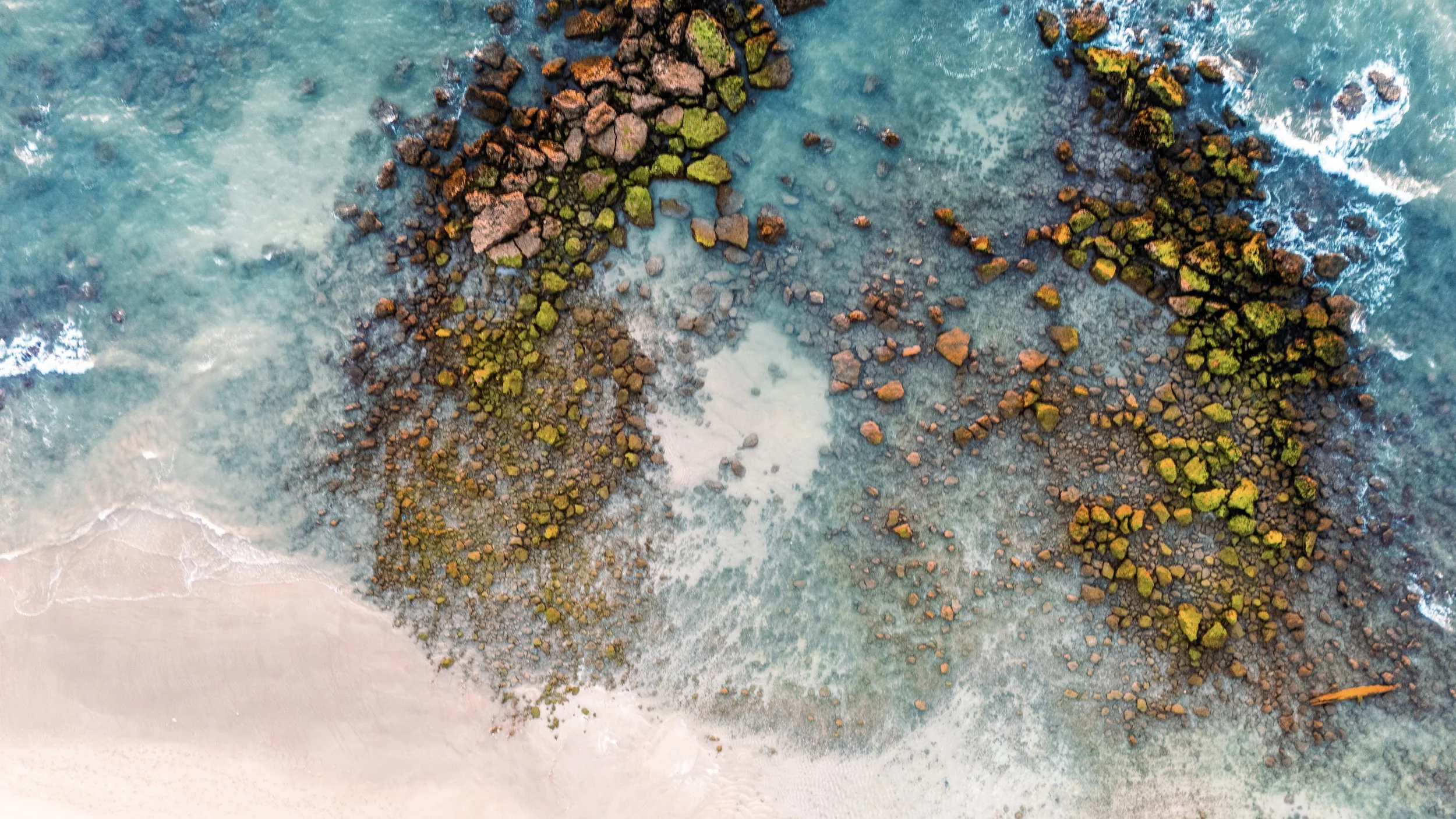 DJI_20260503203142_0273_D 3.jpg