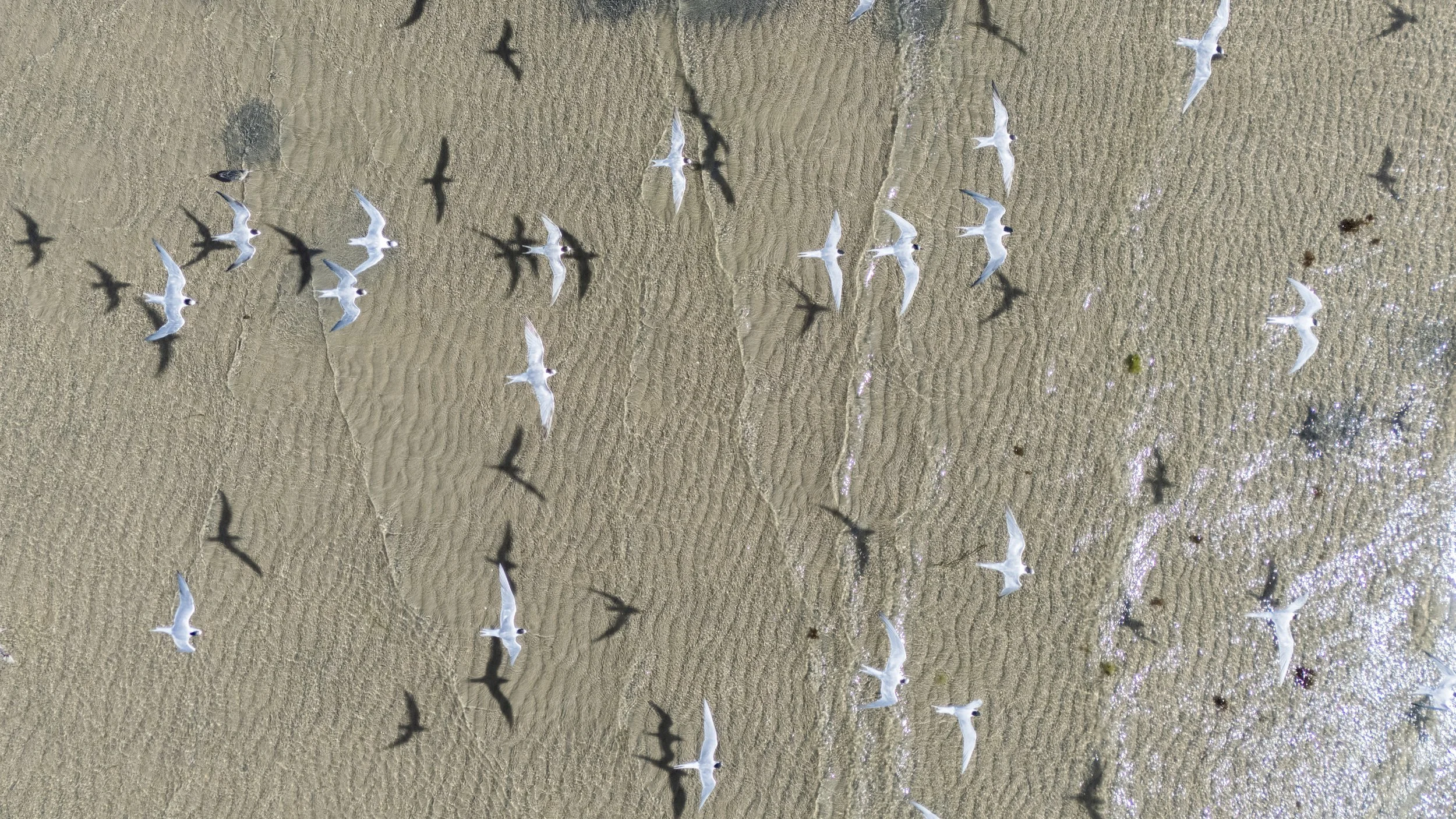 DJI_20260504104343_0331_D 3.jpg