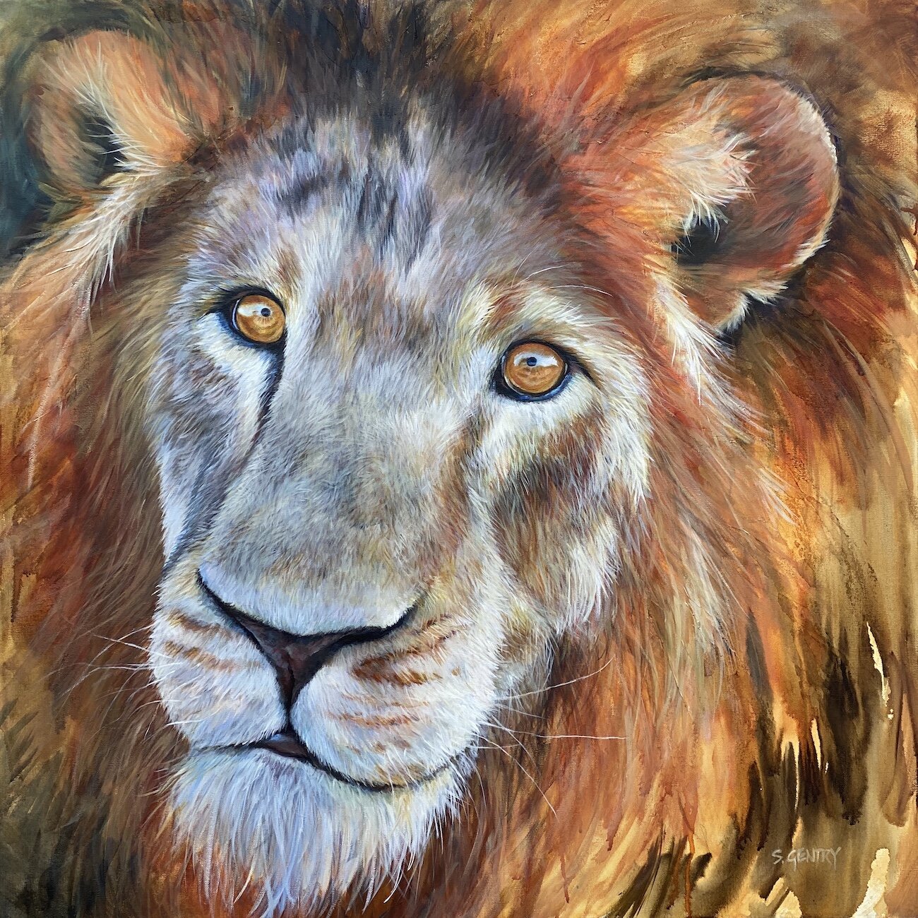    Lion of a Day  , 36” x 36”, acrylic on canvas 