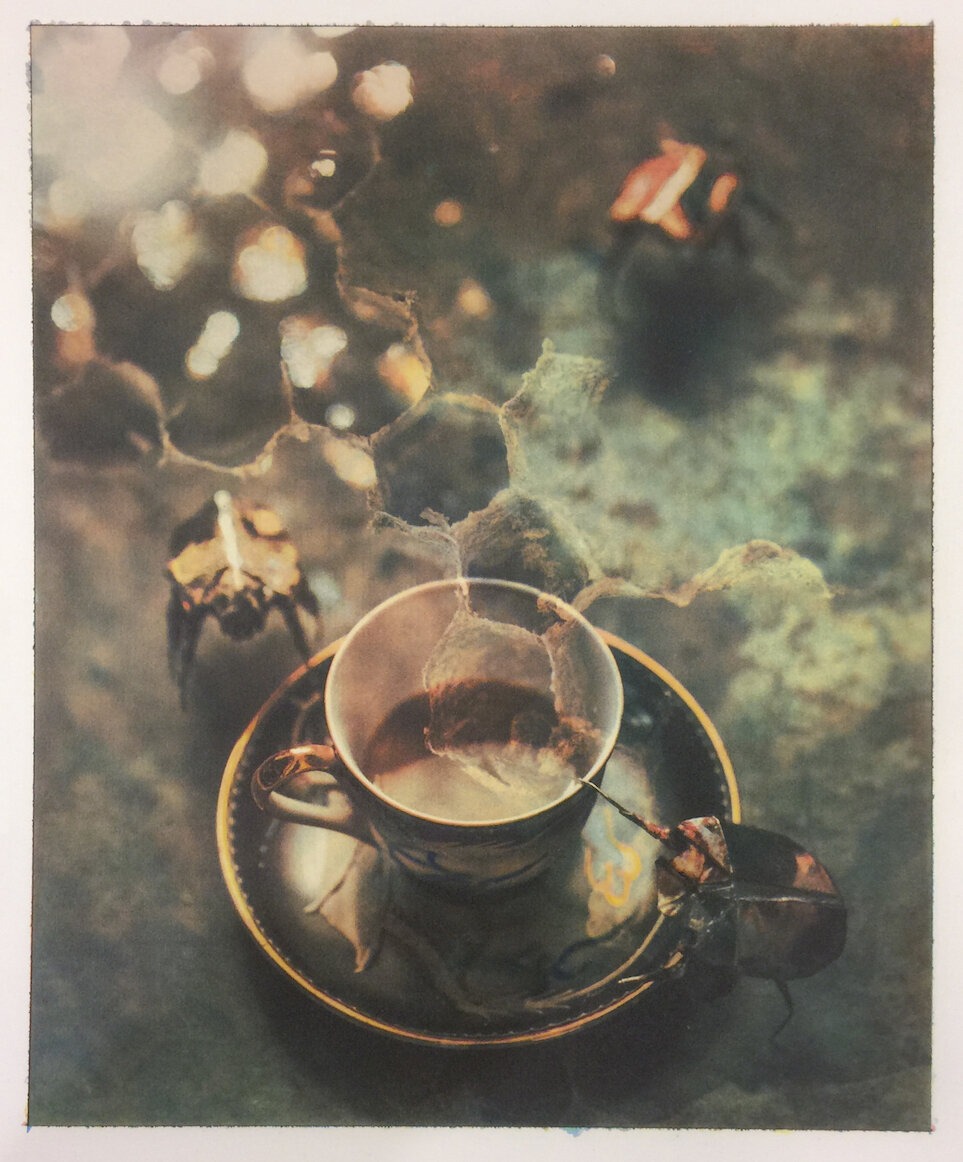    Cup of Mystery  , photographic print, 17” x 14” 