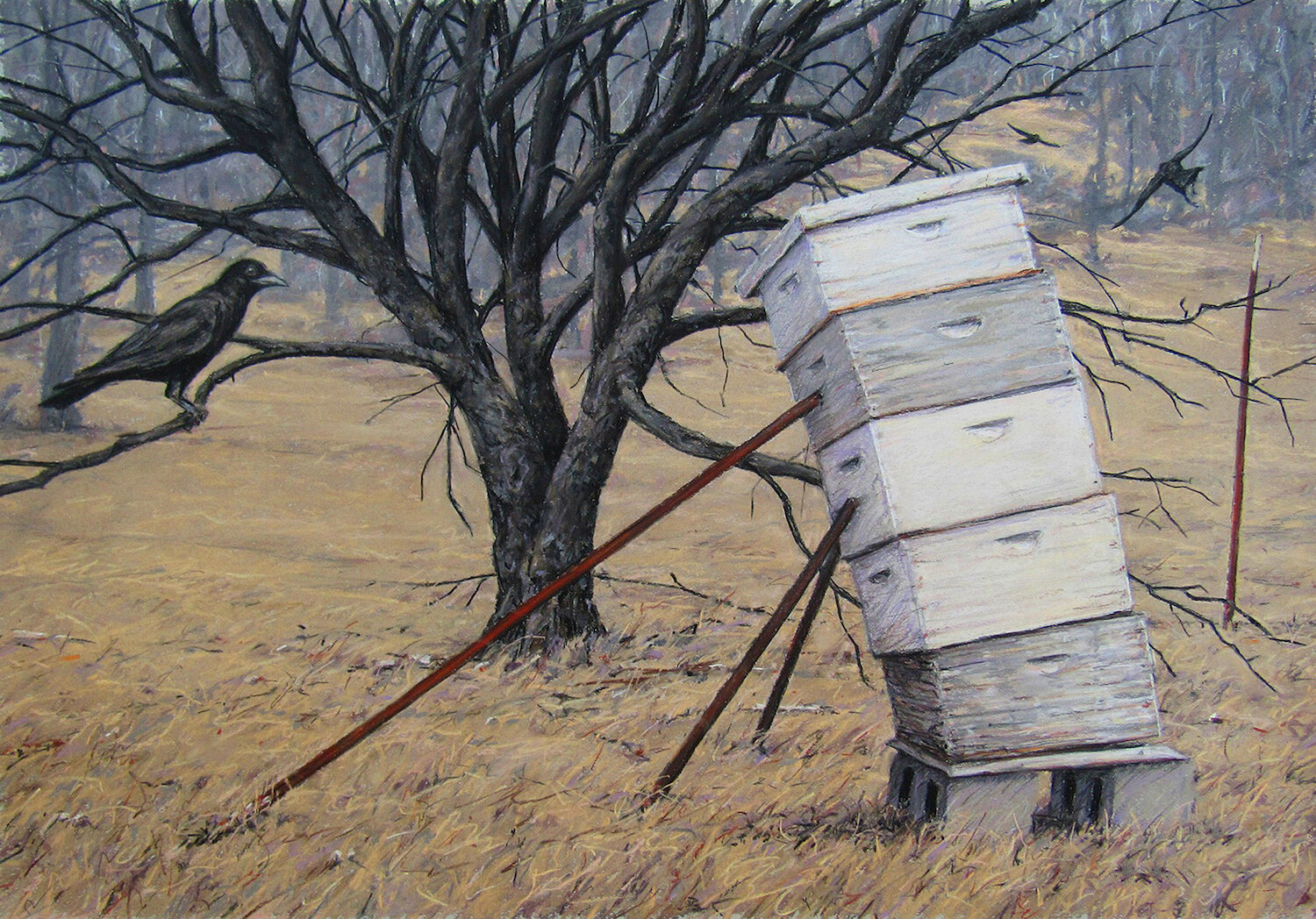    Collapsing Hive  , pastel on light grey paper, 18” x 26” 