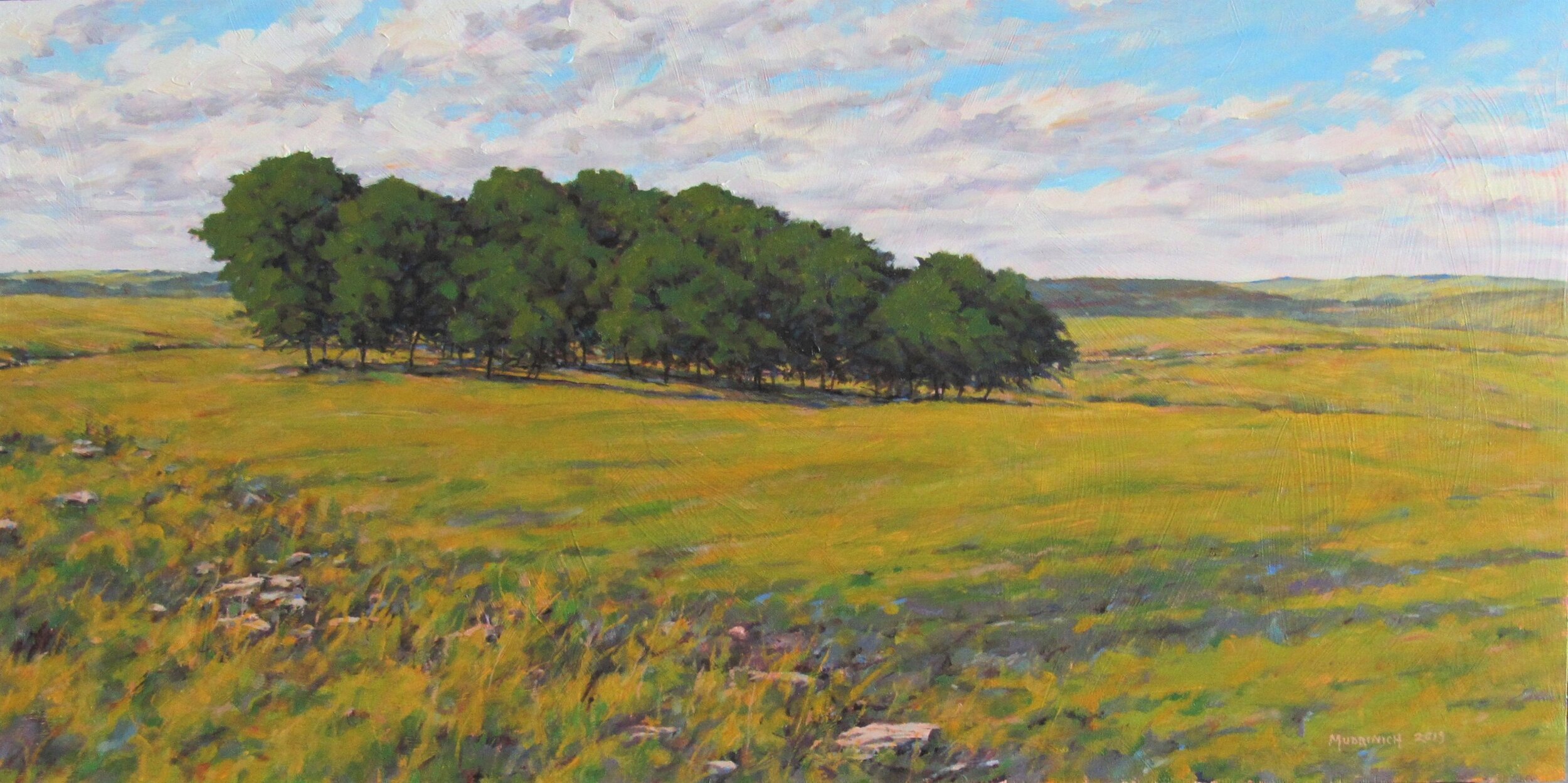    Prairie Oaks  , oil on wood panel, 12” x 24” 