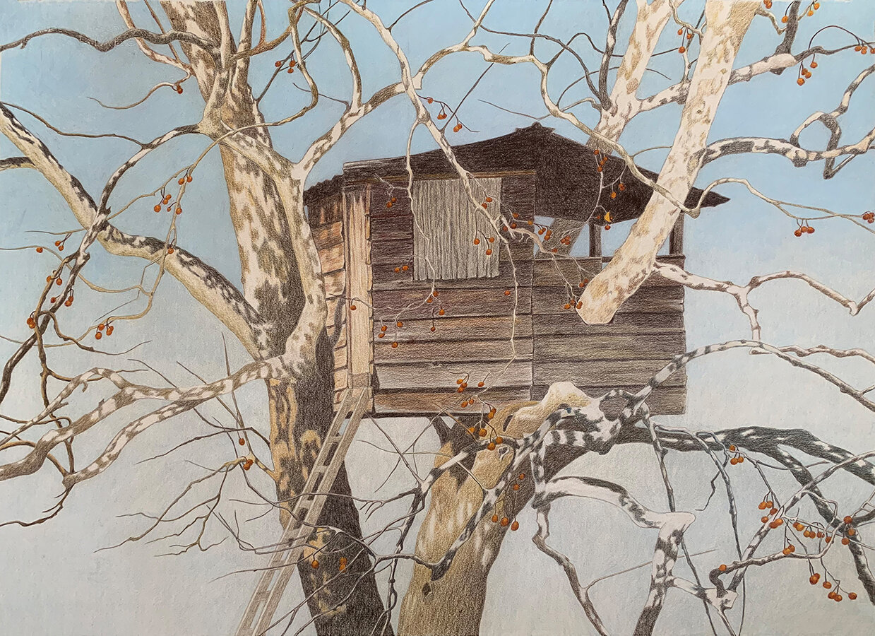    Treehouse and Sycamore  , 22” x 30”, colored pencil on paper 