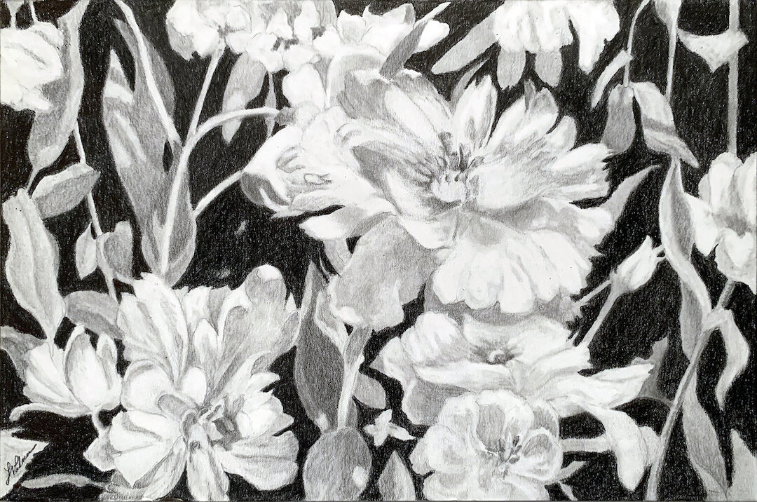    Garden Bouquet  , 8” x 12”, graphite on paper 