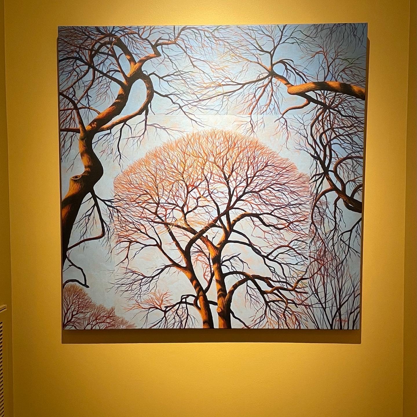    Elms  , 40” x 40”, acrylic on canvas, Kendall Stallings 