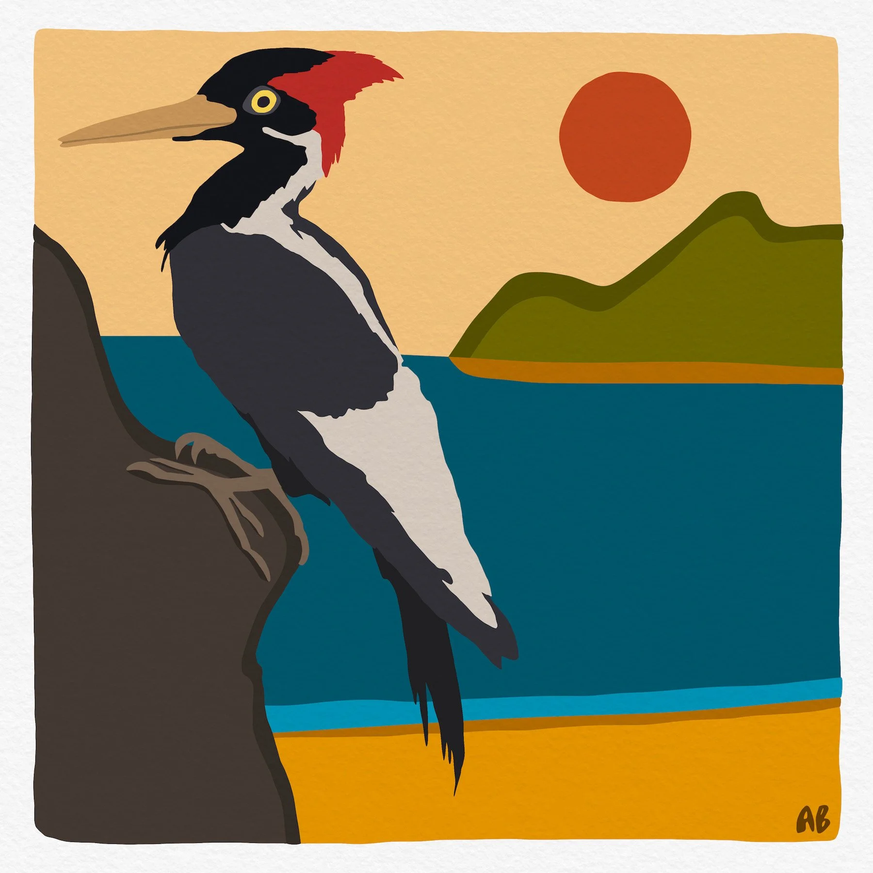 Ivory Bill On Holliday , 20” x 20” digital drawing, pigment ink on cold press paper