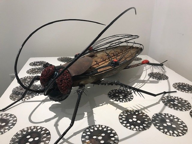    Cockroach  , 6’ x 4’ x 2’ 