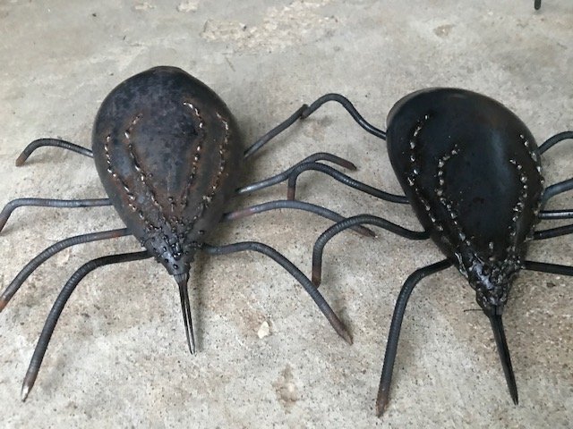    Ticks  , 10” x 2” x 6” 