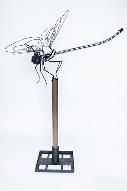    Dragonfly  , 4’ x 6’ x 5’ 