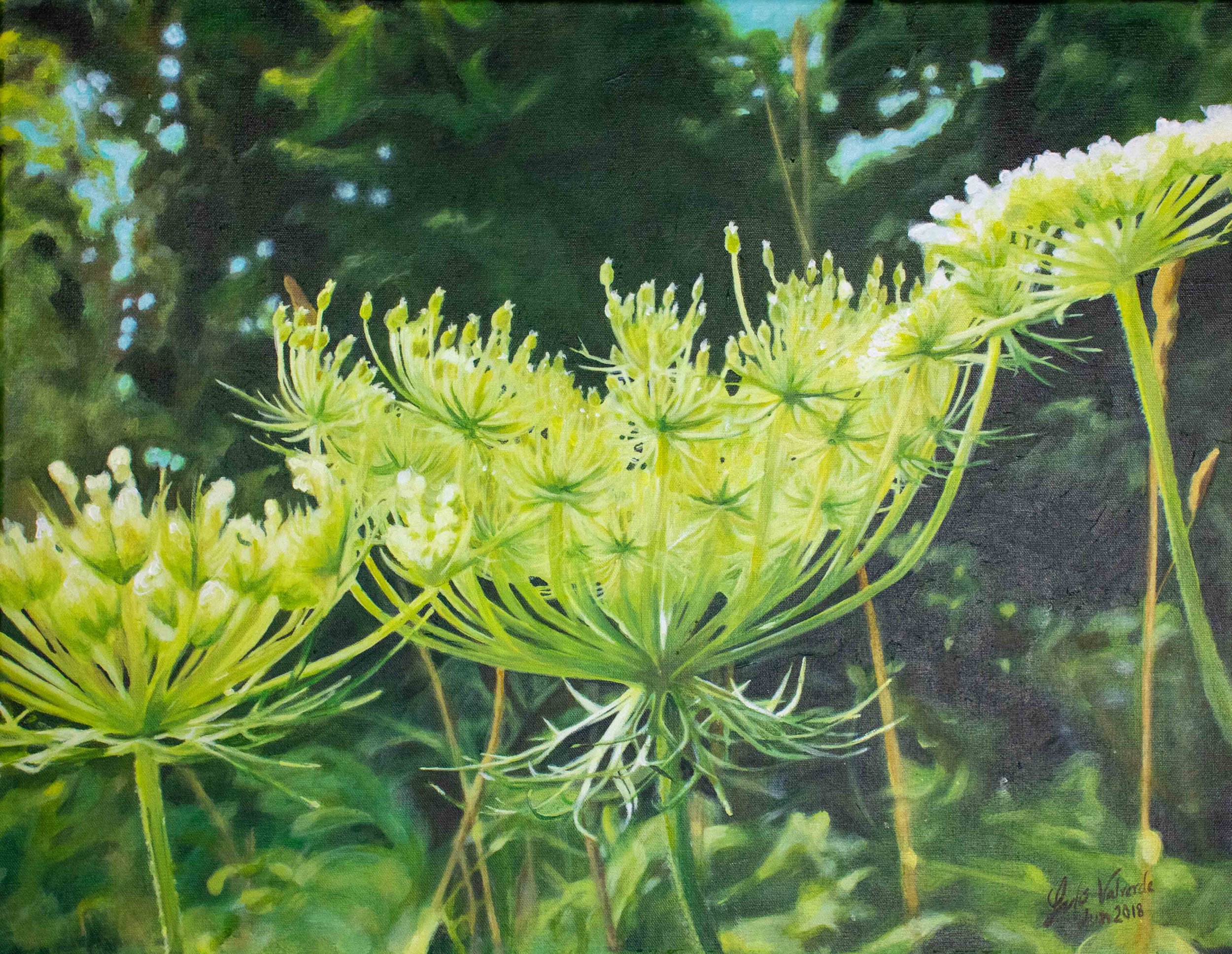    Wild Flower  , acrylic on canvas, 28" x 22" 