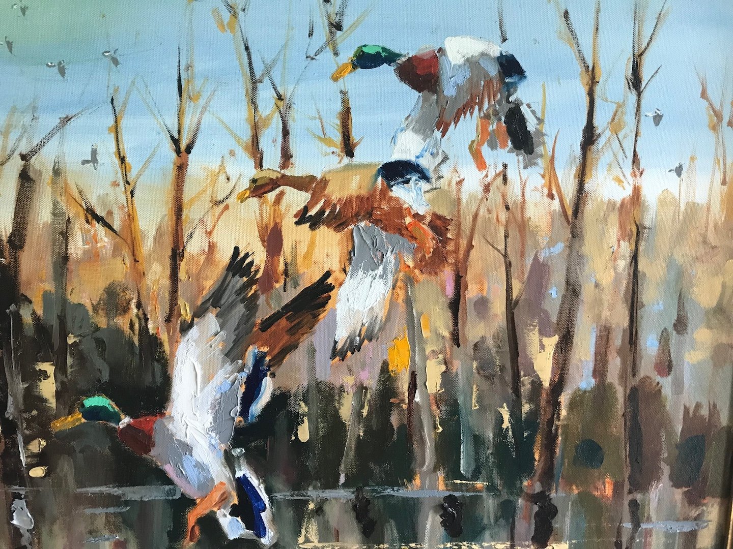    Mallards Cupped  , 30” x 40”, oil on canvas 